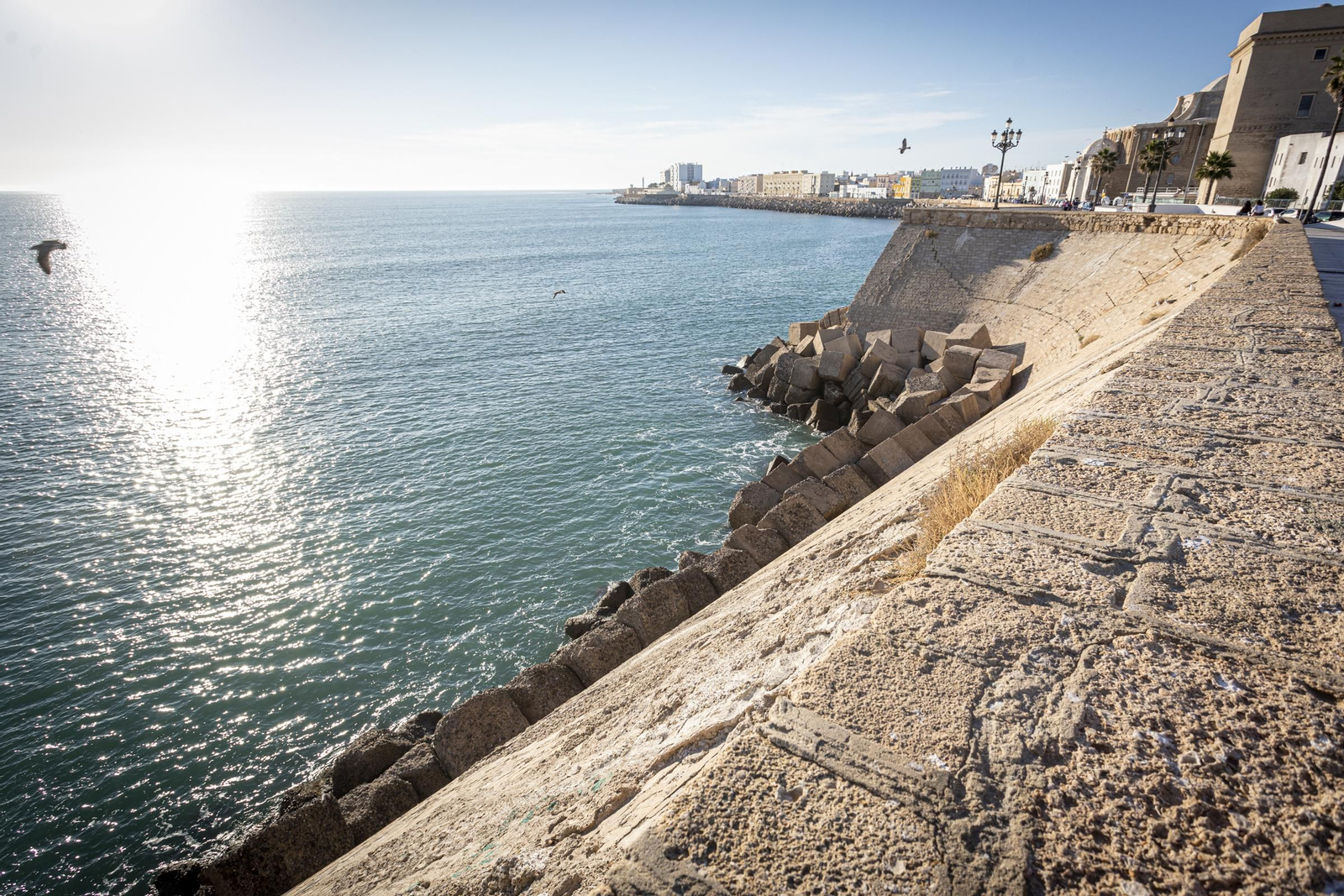 Imágenes del mal estado de la muralla del Campo del Sur