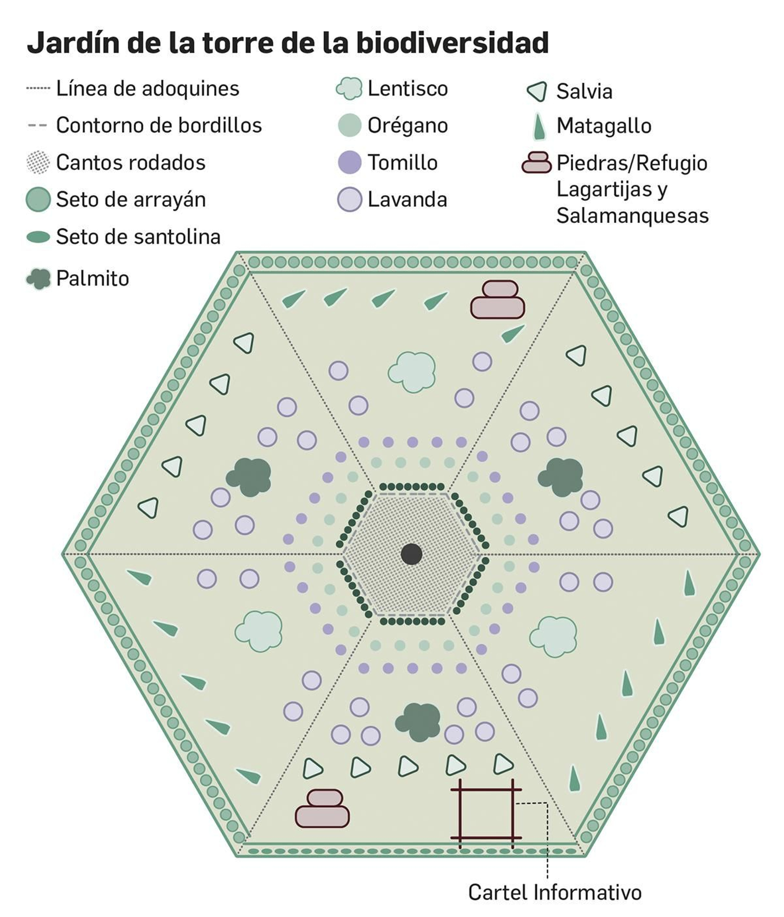 Entorno de la torre de la  biodiversidad. Fuente: elaboración propia