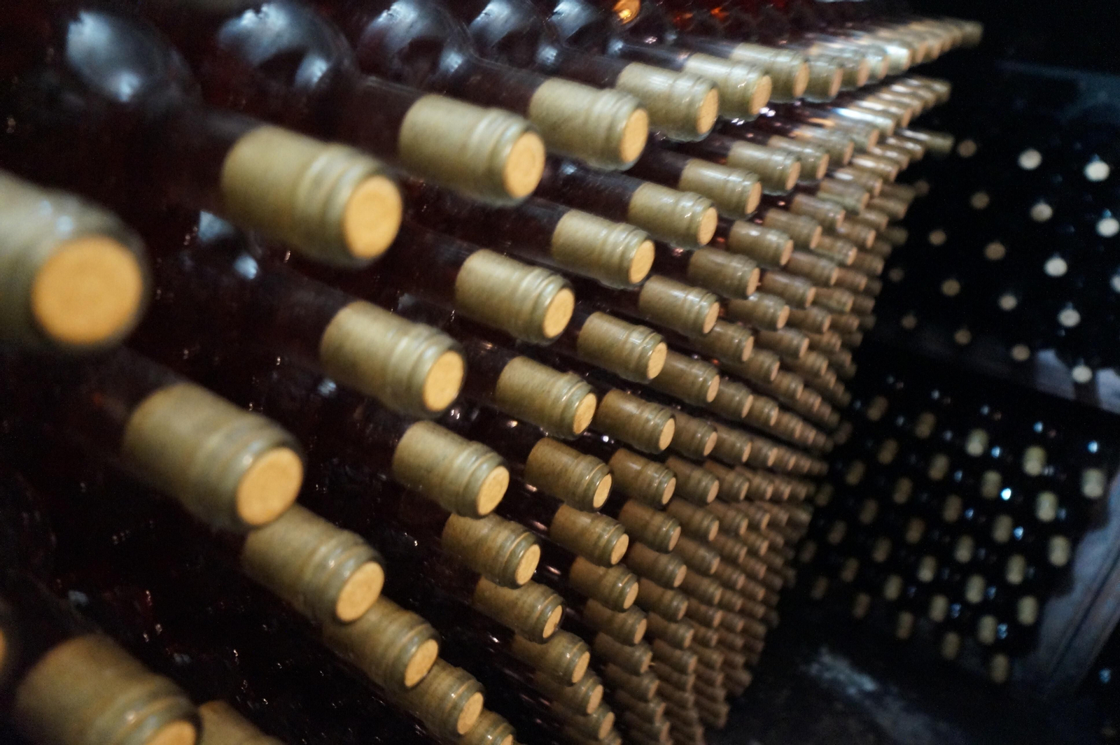 Un recorrido en fotografías por el vino nuevo de Moriles