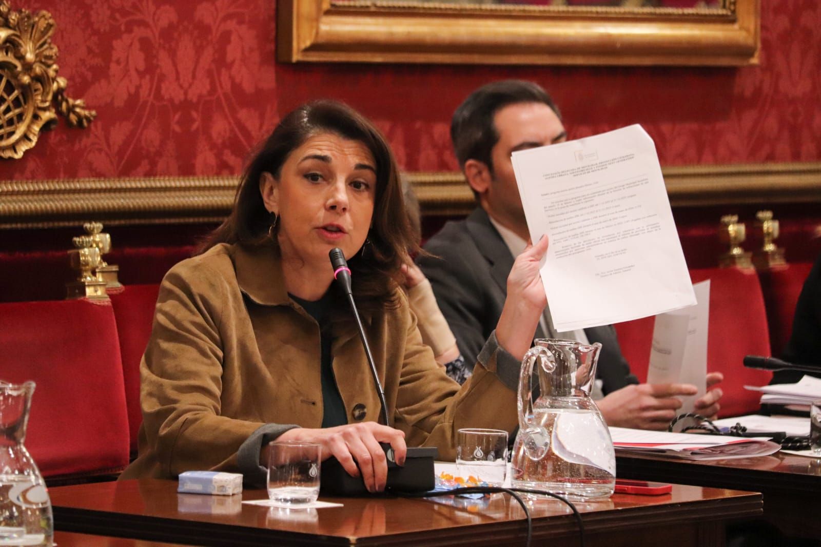 La concejal Raquel Ruz durante su intervención sobre la respuesta de las sanciones sobre la ZBE