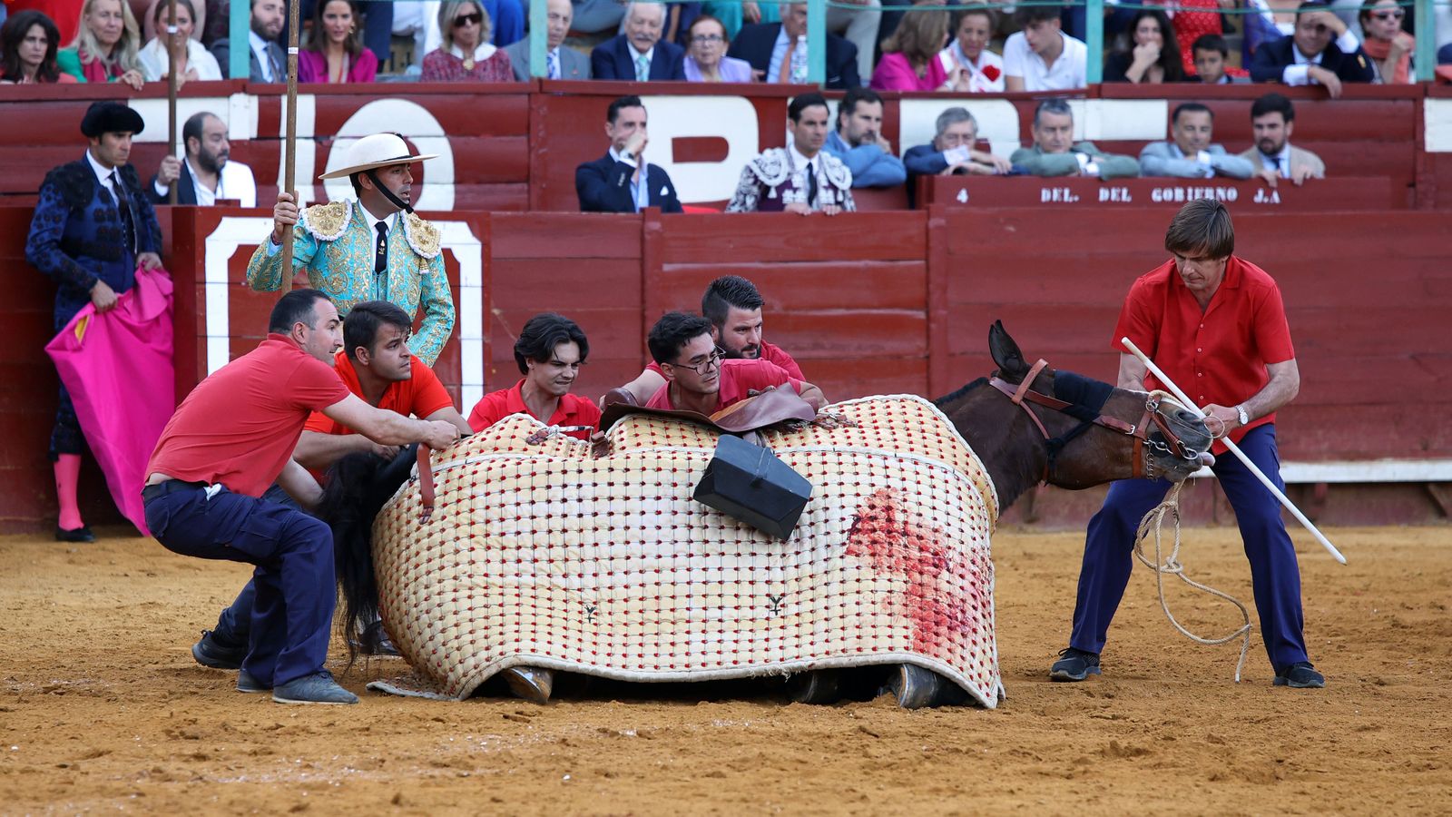 Última tarde de toros de la Feria de Jerez 2024 con Morante, Manzanares y Castella