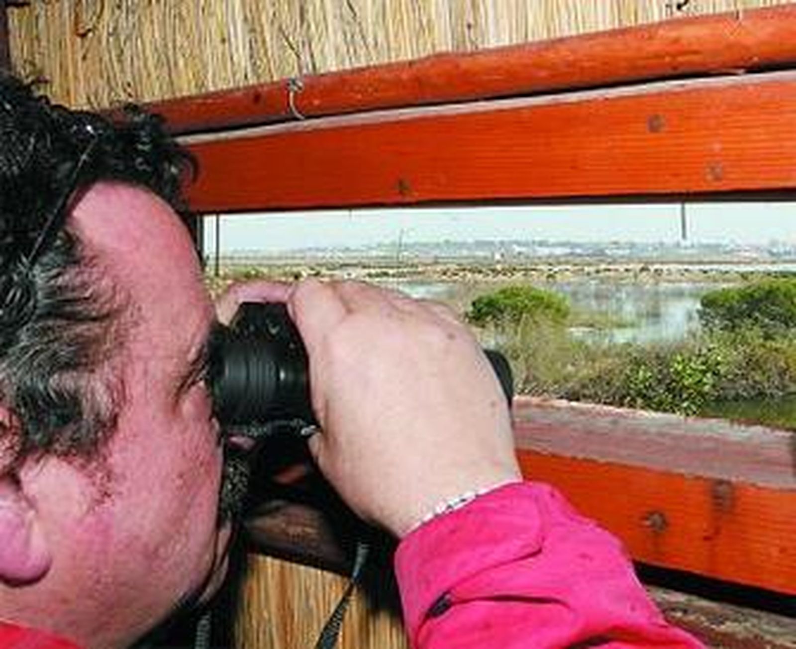 Una parada en el camino para observar las aves desde los observatorios.