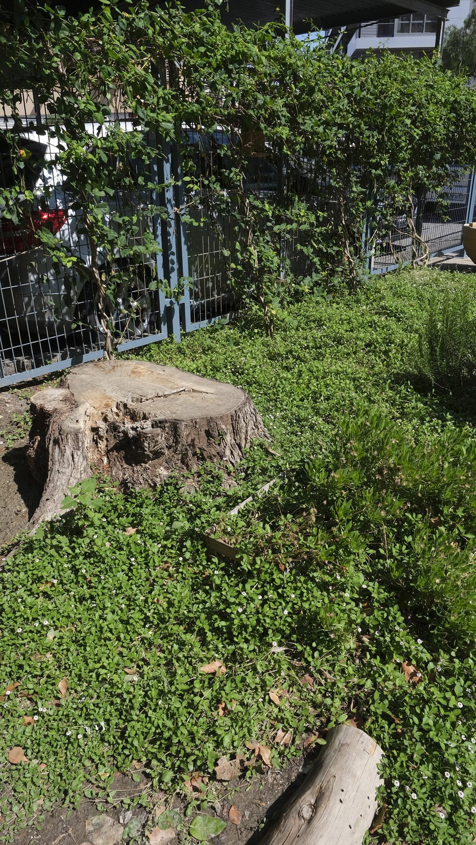 Proyecto Aulas Verdes Abiertas en el Colegio Mar Mediterráneo, de Almería