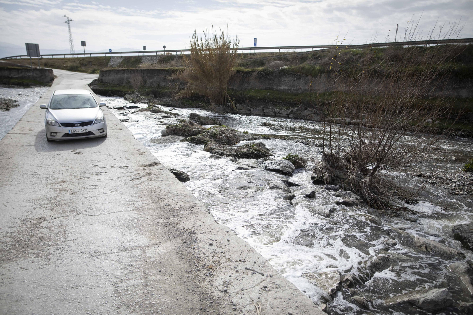 Fotos del 'cementerio' de toallitas que se acumula junto al río Genil en Granada