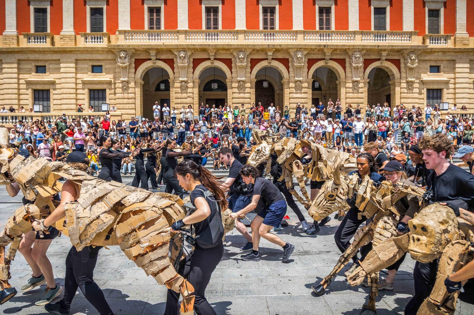 Las imágenes de 'La estampida' en San Fernando