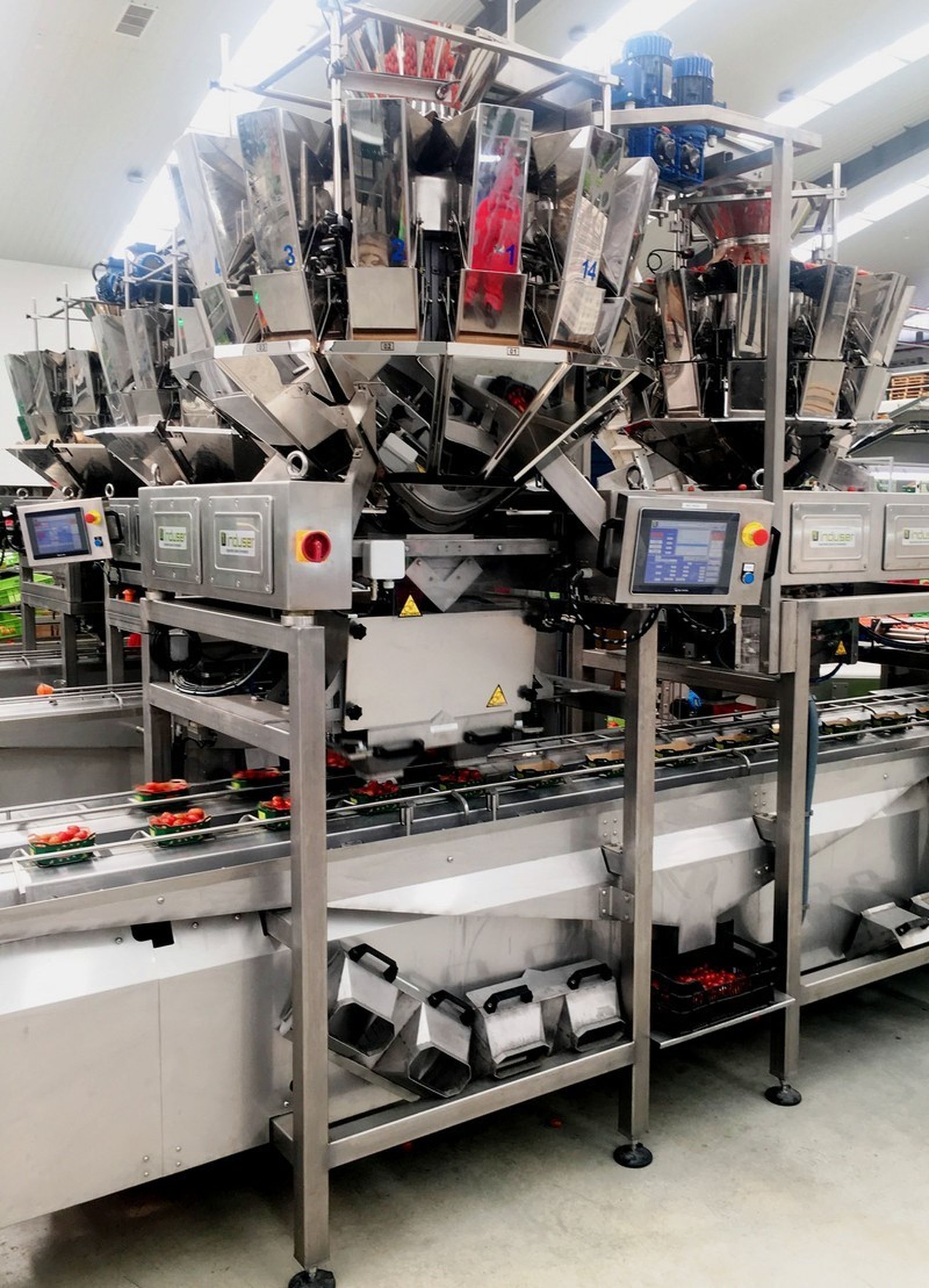 A la izquierda, la instalación montada en Biosabor; a la derecha, otra máquina instalada en Onubafruit.