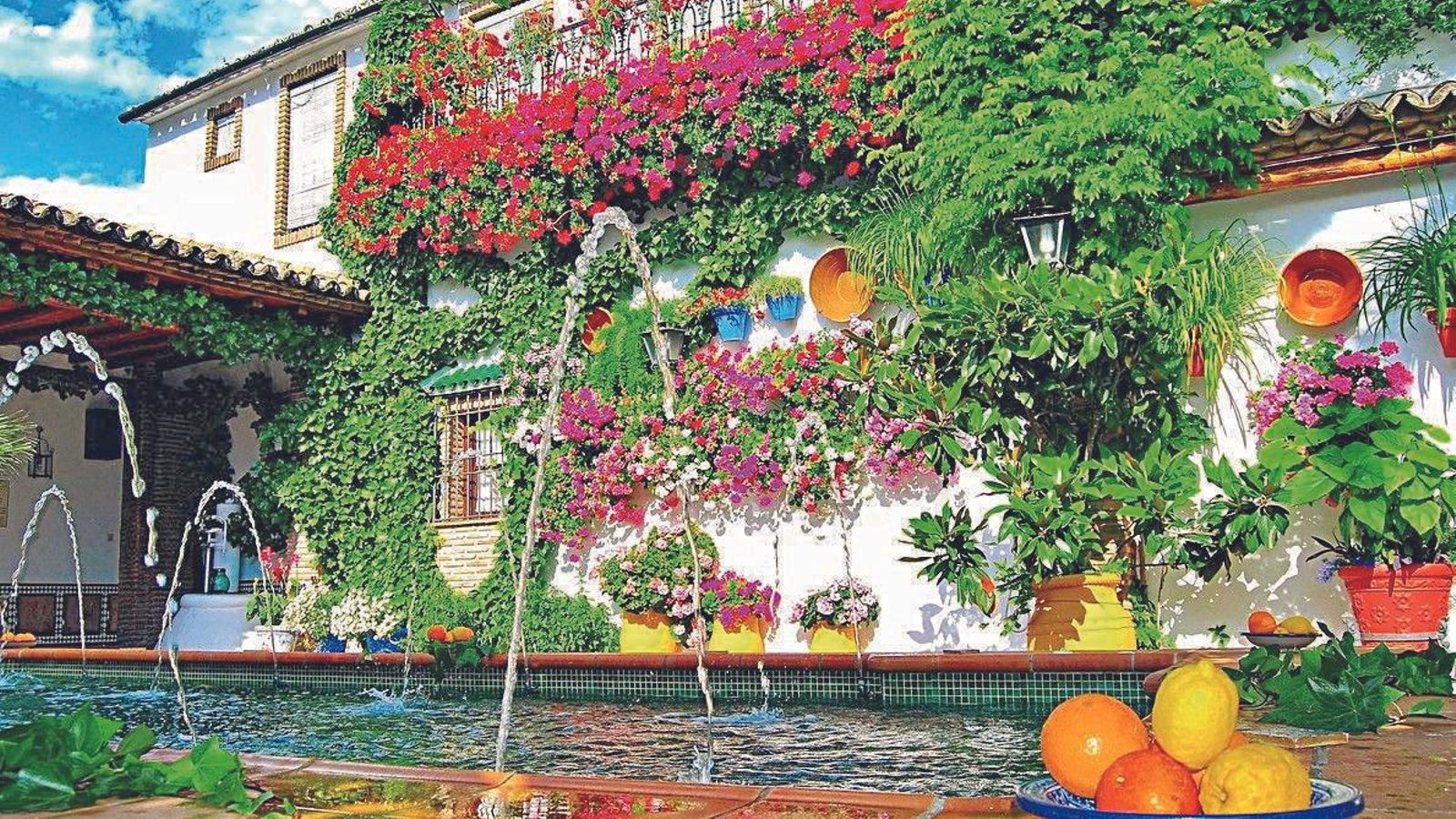 126-127 Patios de la provincia 2