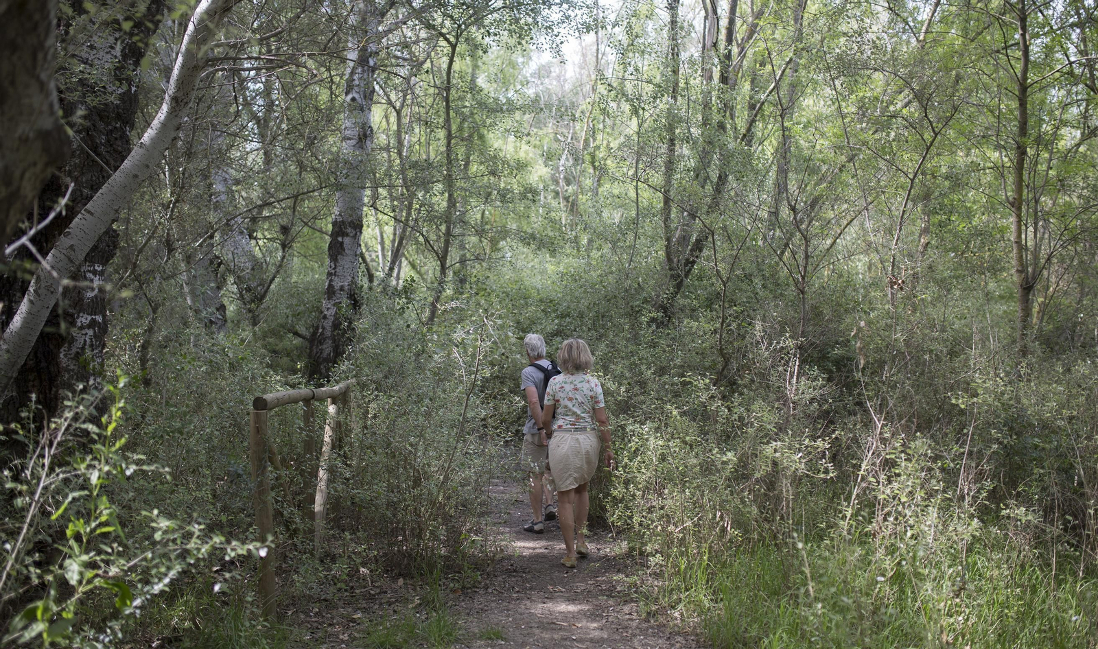 Así está Aznalcóllar 20 años después