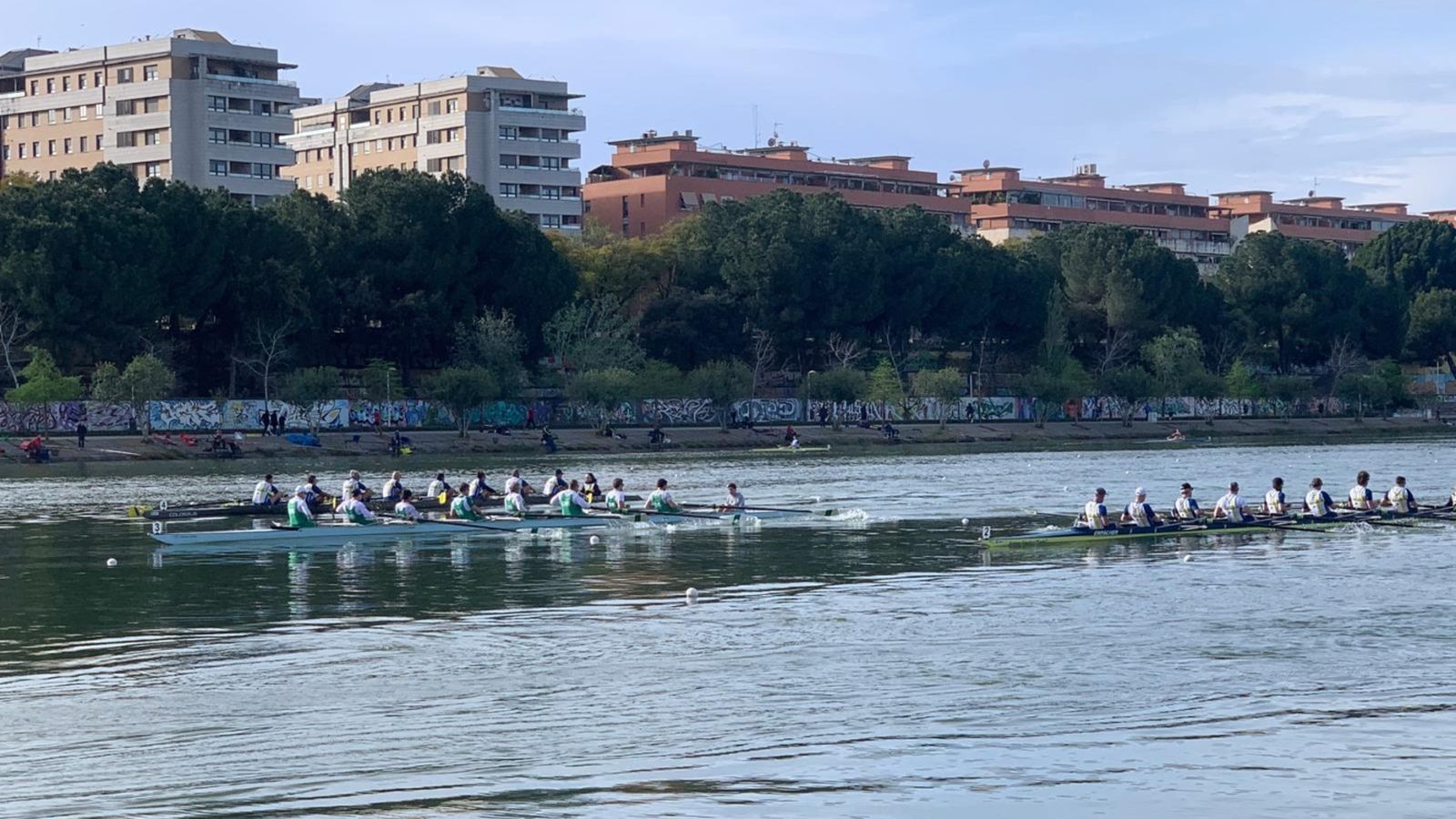 La prueba de ocho con timonel en las aguas del Guadalquivir.
