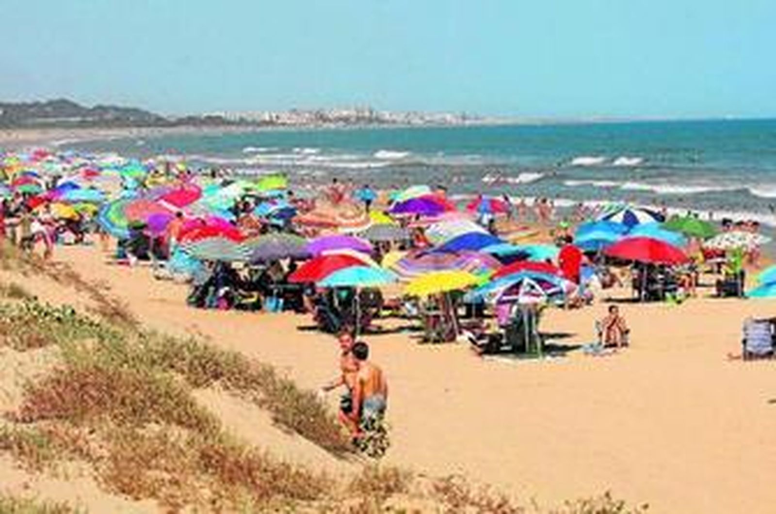 El paraíso del Coto Doñana