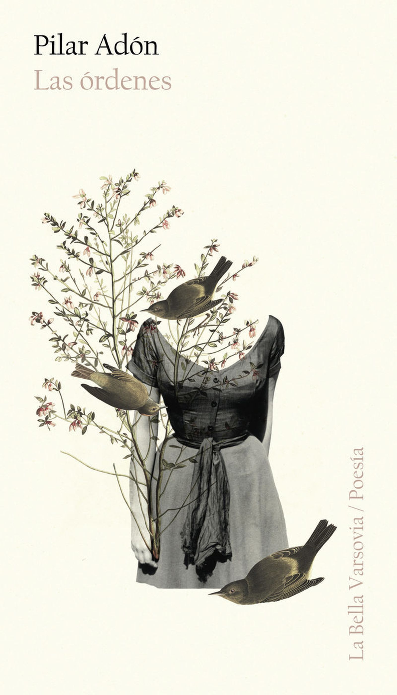 Portada del poemario.