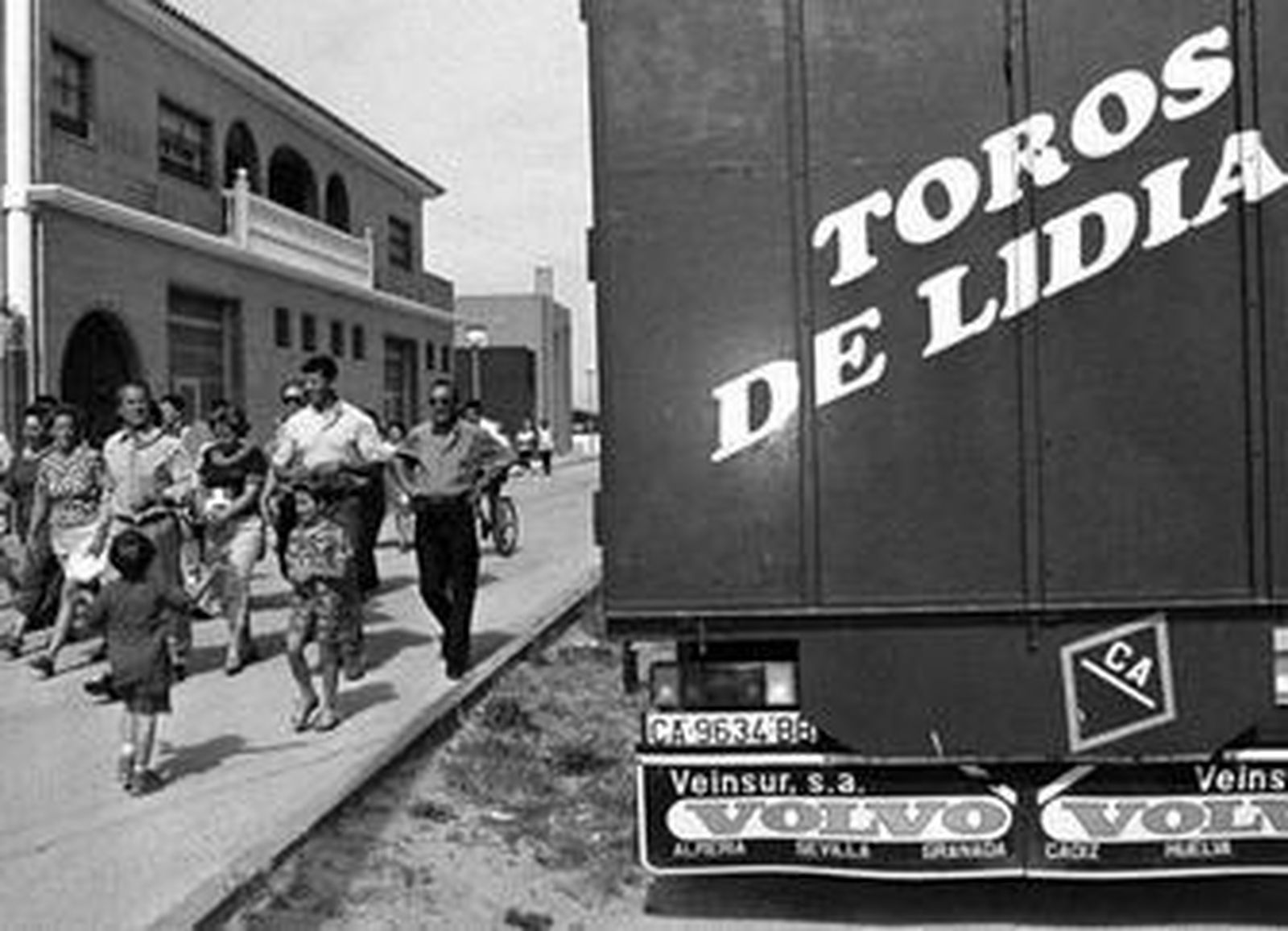 Los transportistas de reses bravas opinan que los toros de lidia deben ser tratados de manera especial.