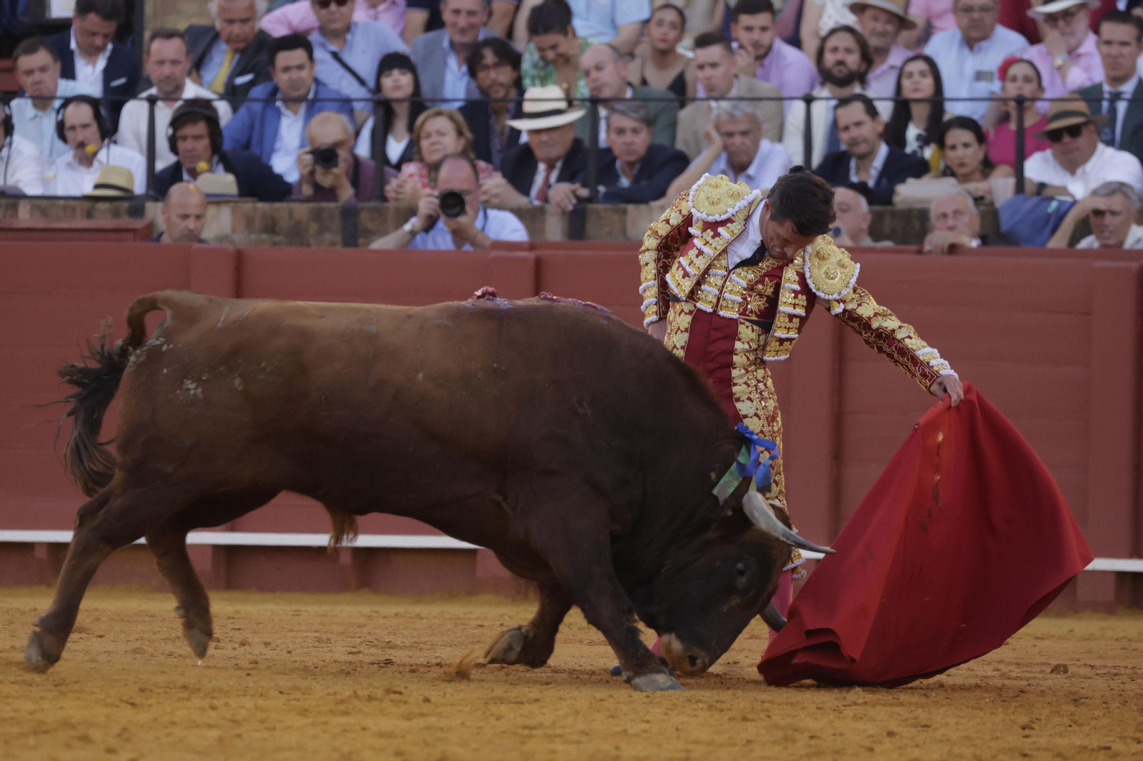 Las imágenes del festejo