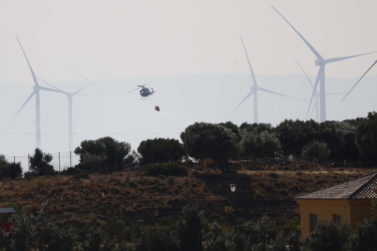 Las fotografías del incendio forestal en Facinas (Tarifa)