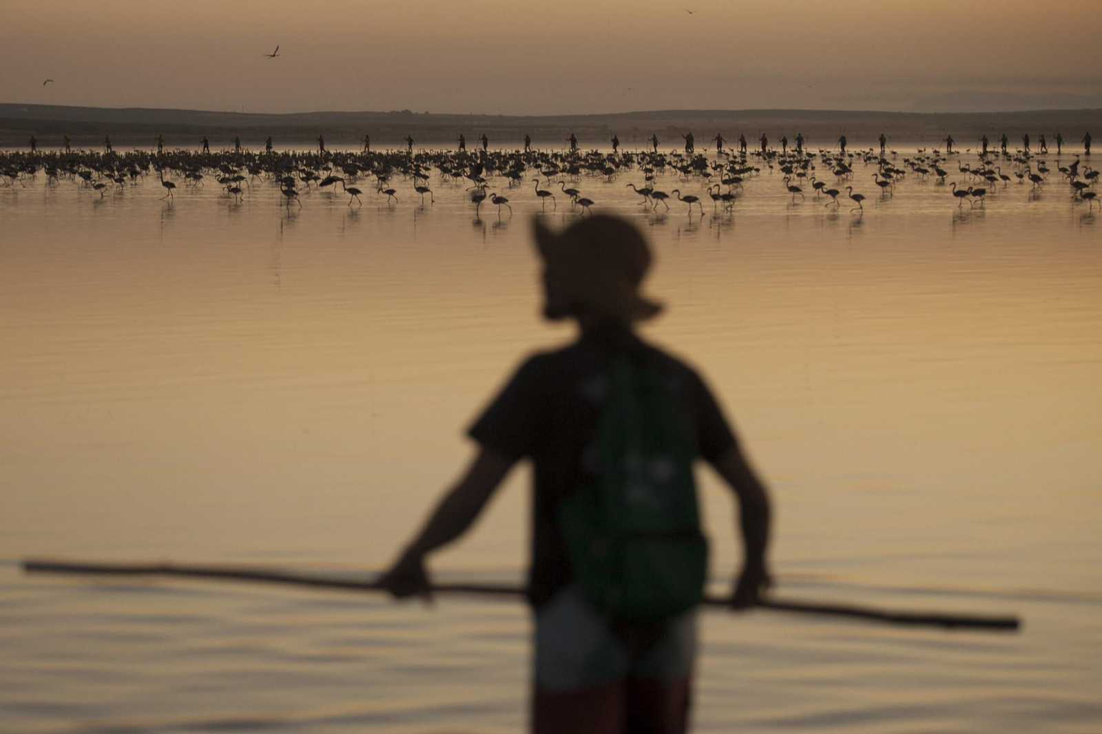 Amanecer flamenco en Fuente de Piedra