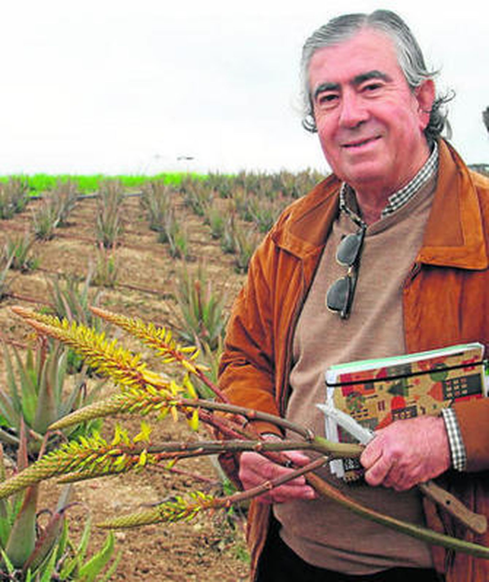 Saturnino Iglesias, el pasado marzo, en su plantación de aloe vera.