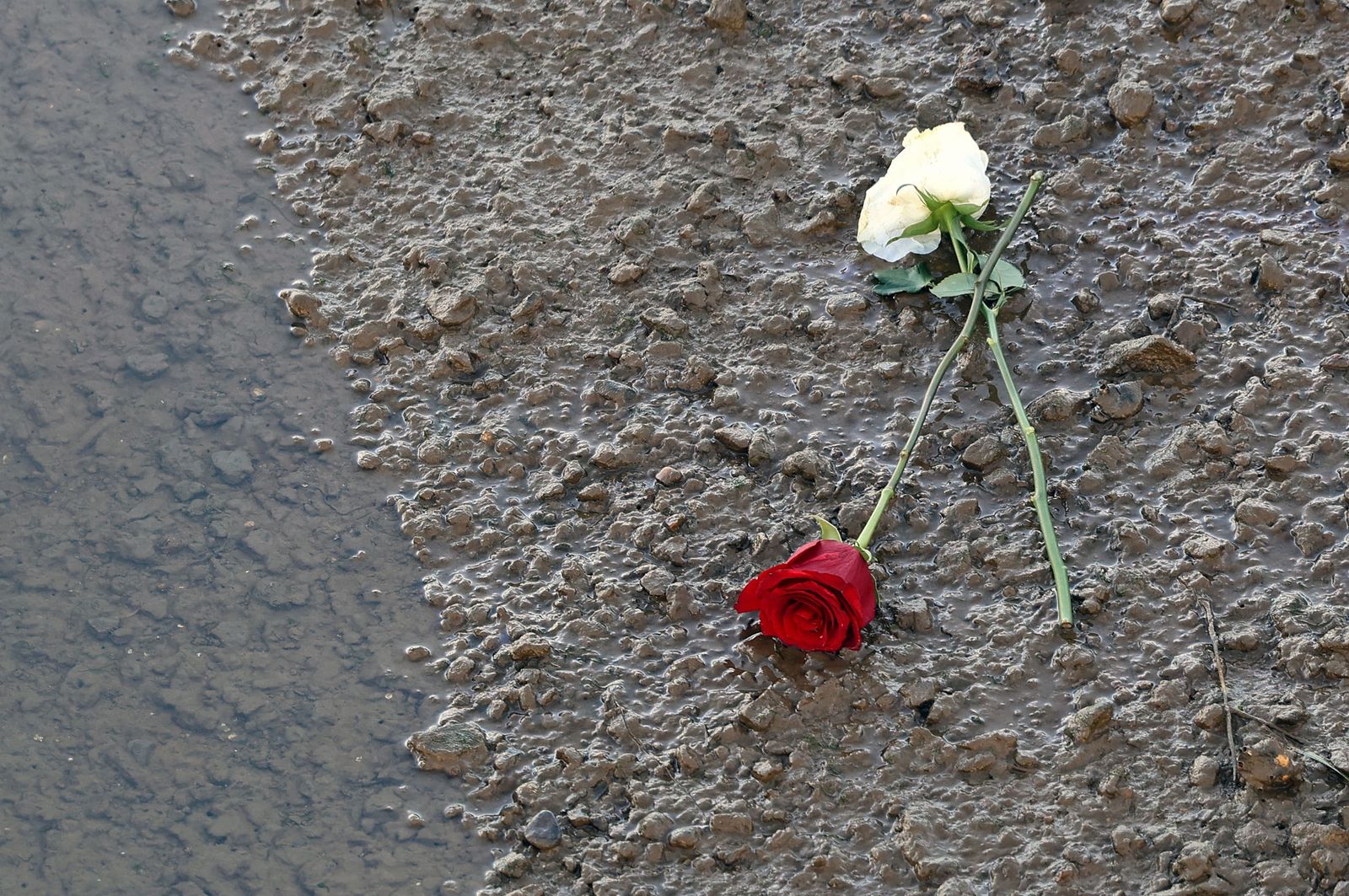 Imágenes del domingo 22 de diciembre en Huelva