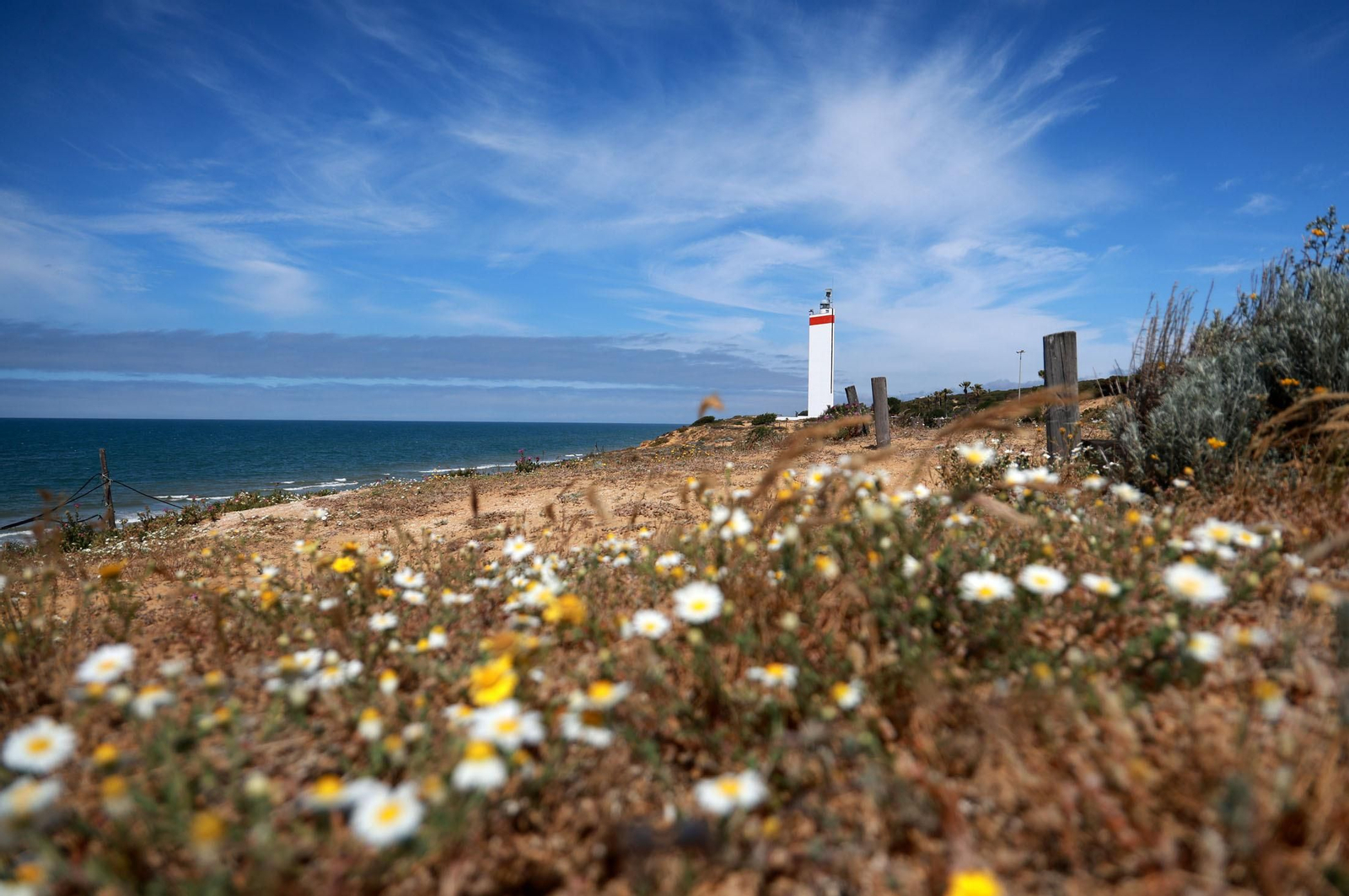 Imágenes del ambiente en las playas de Matalascañas y Mazagón durante la mañana del domingo