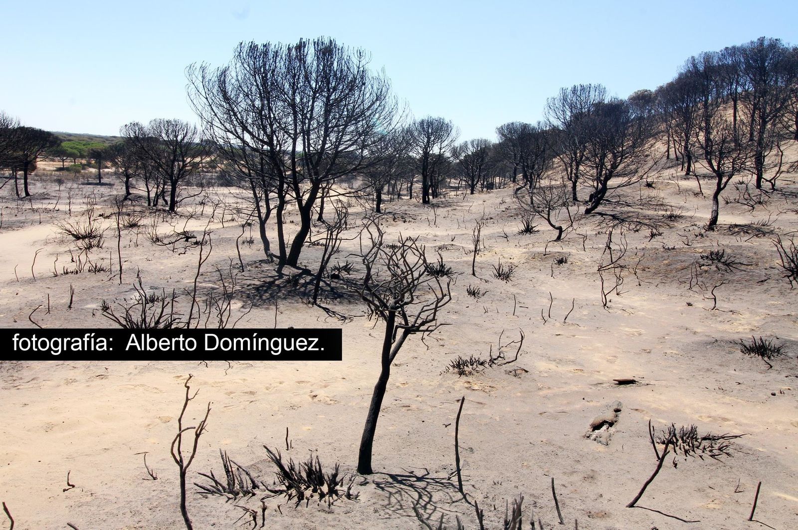 Imágenes de Cuesta Maneli tras el incendio.