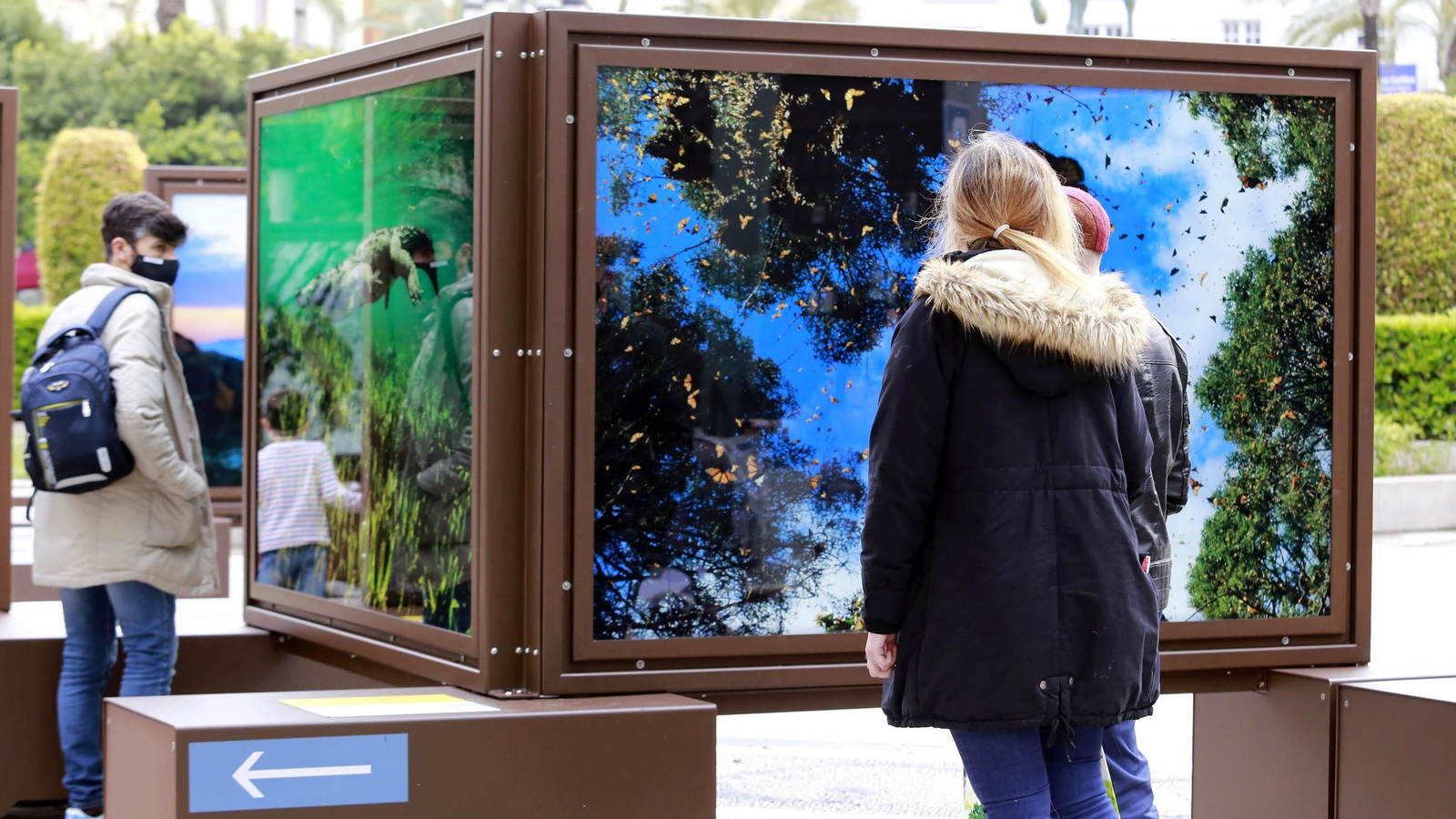 Exposición de 'De Polo a Polo' de The National Geographic en el Arenal