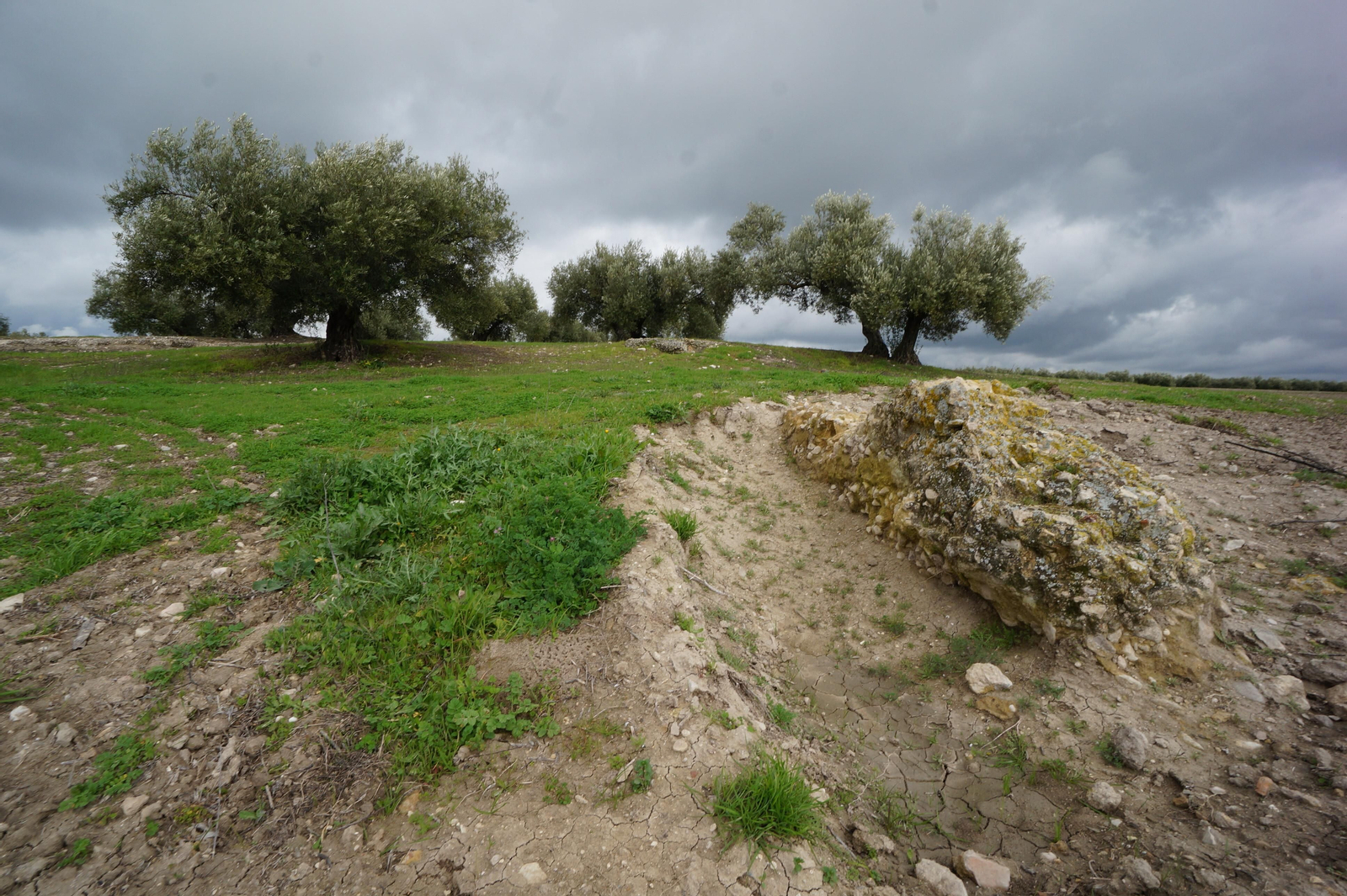 Los silos romanos del Carchena en Castro del Río, en fotografías