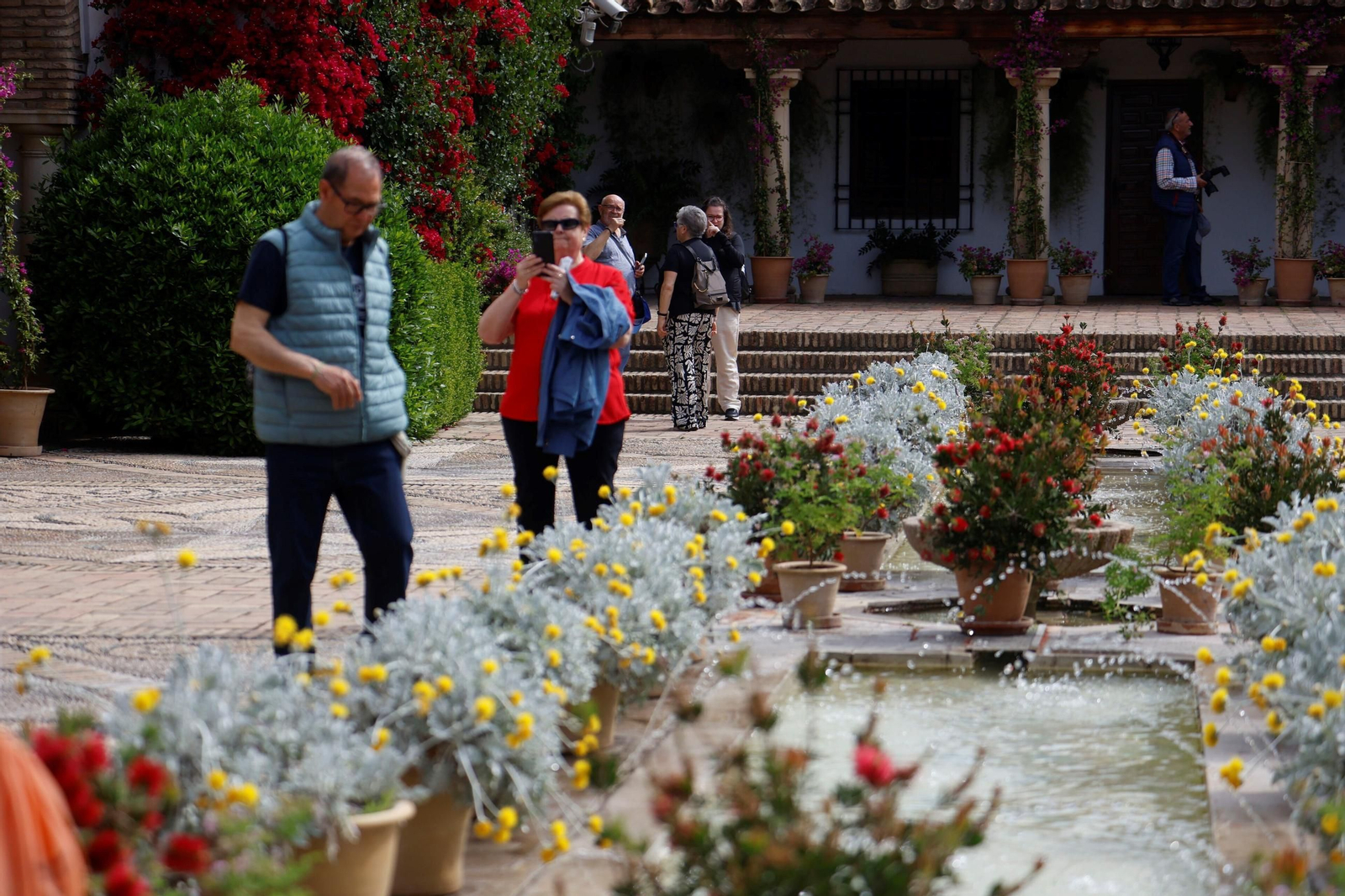 Los Patios del Palacio de Viana, en imágenes