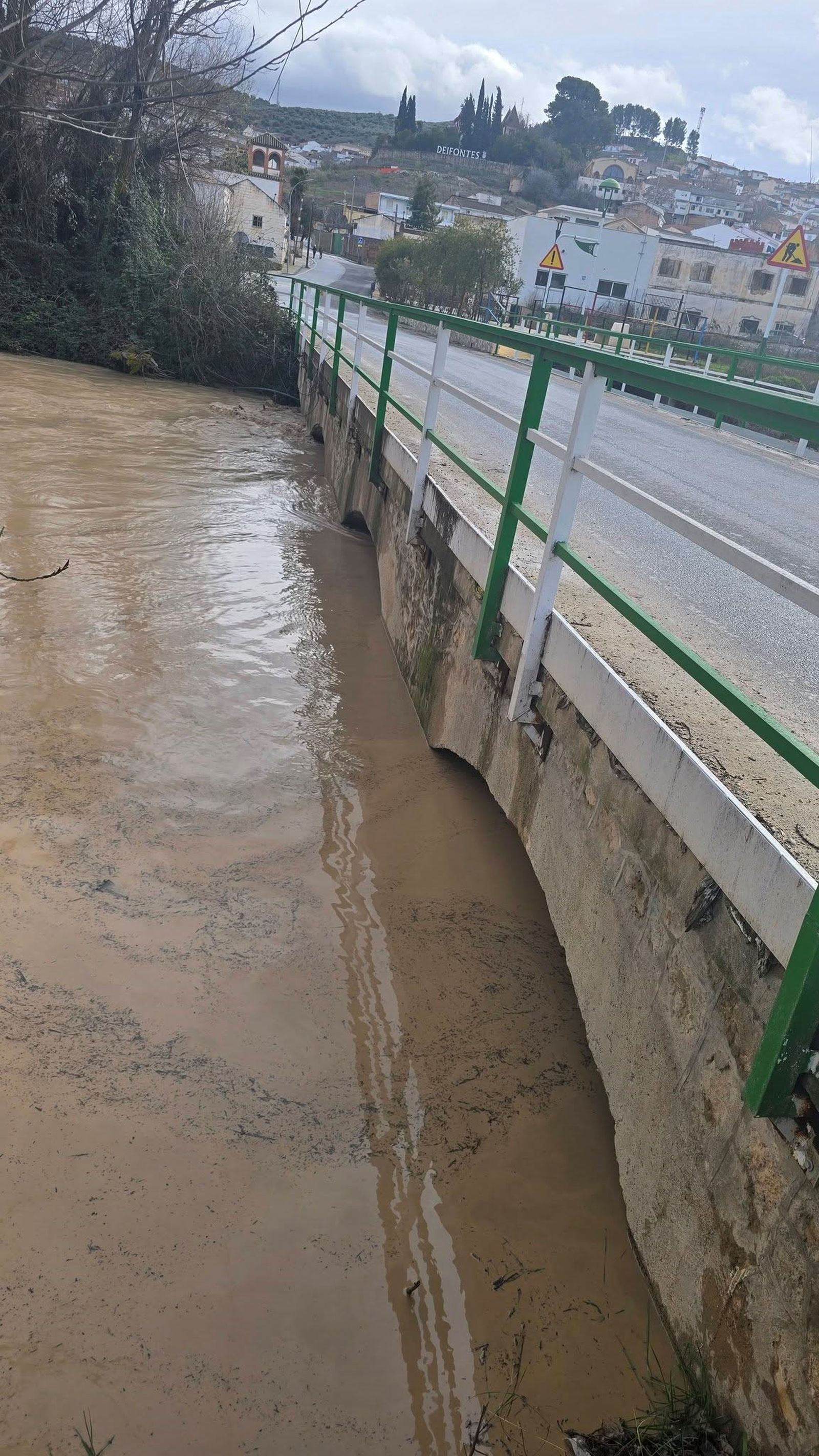 Viento, agua y destrozos: las imágenes de los efectos de la borrasca en la provincia de Granada