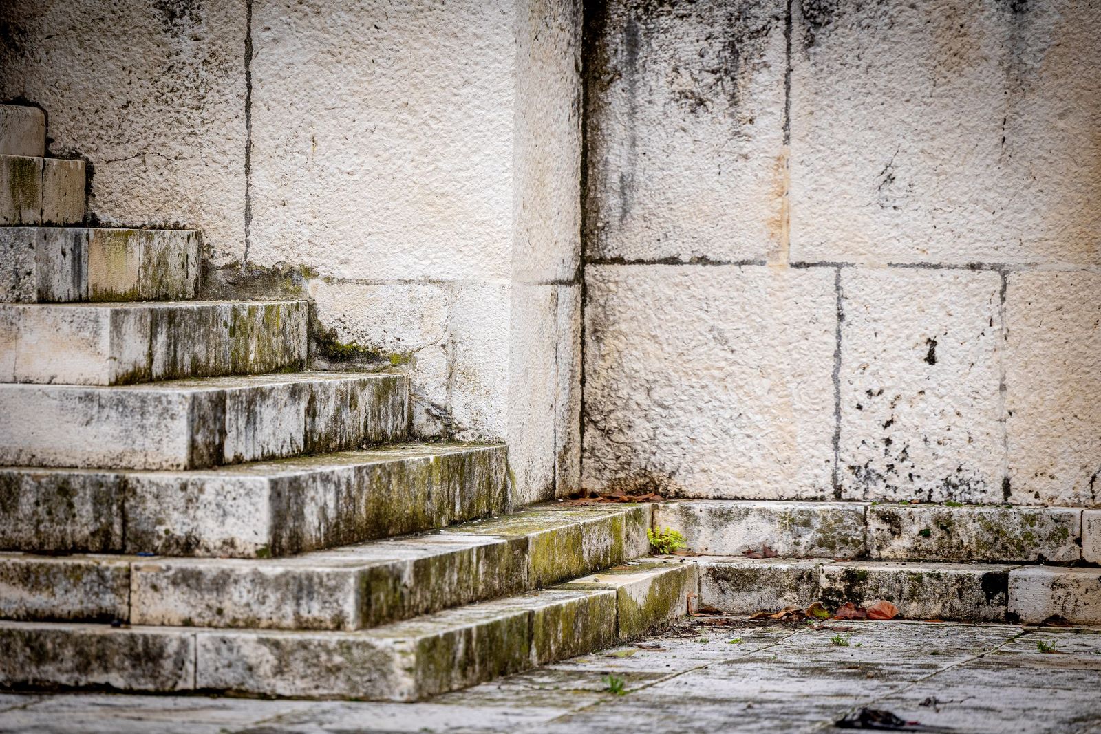 Las imágenes del mal estado de la Plaza de España en Cádiz