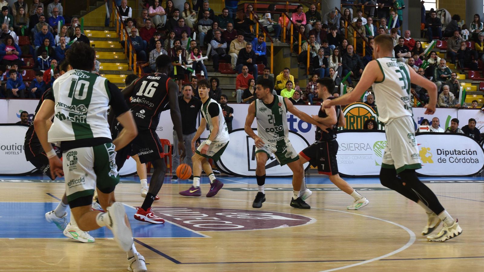 Guille del Pino dirige un ataque del Coto Córdoba en su partido ante el Biele ISB en Vista Alegre.