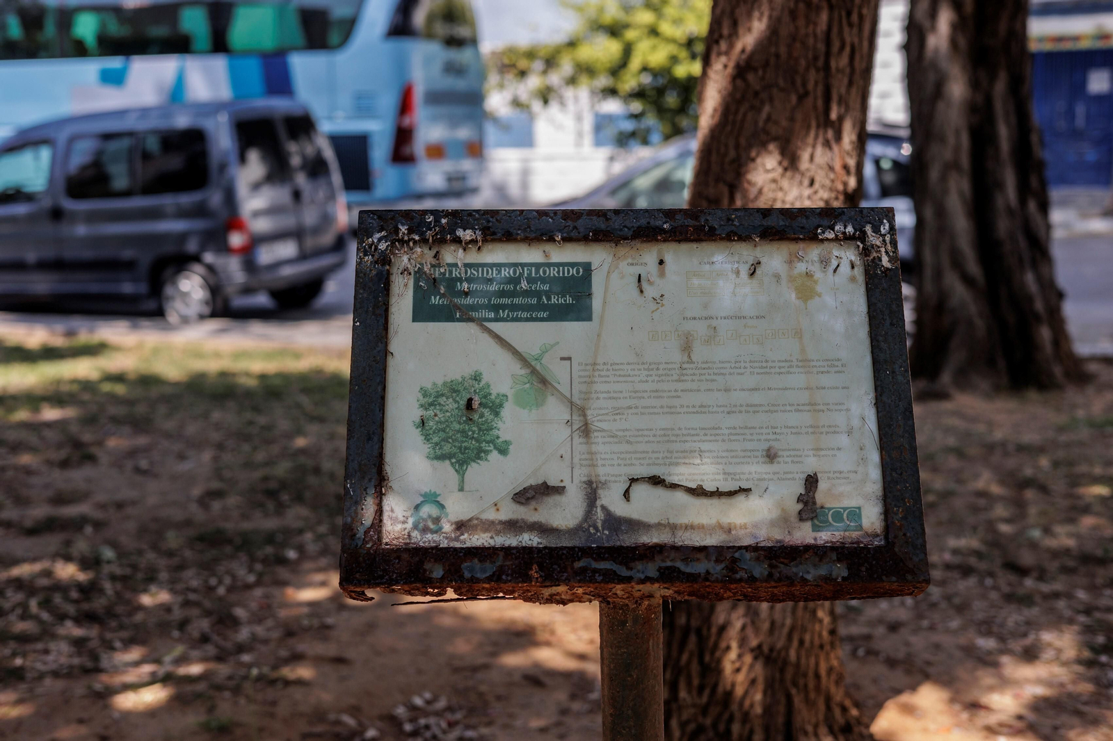 Las zonas verdes menos verdes de la ciudad de Cádiz