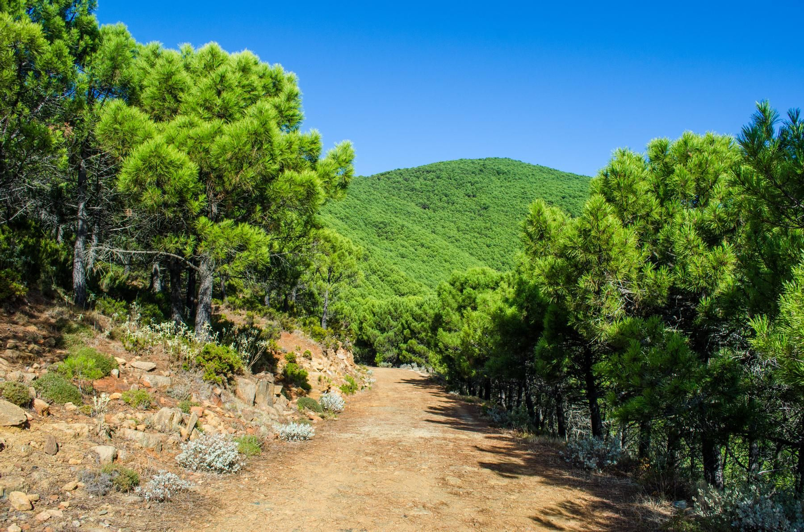 Vista de Sierra Bermeja.