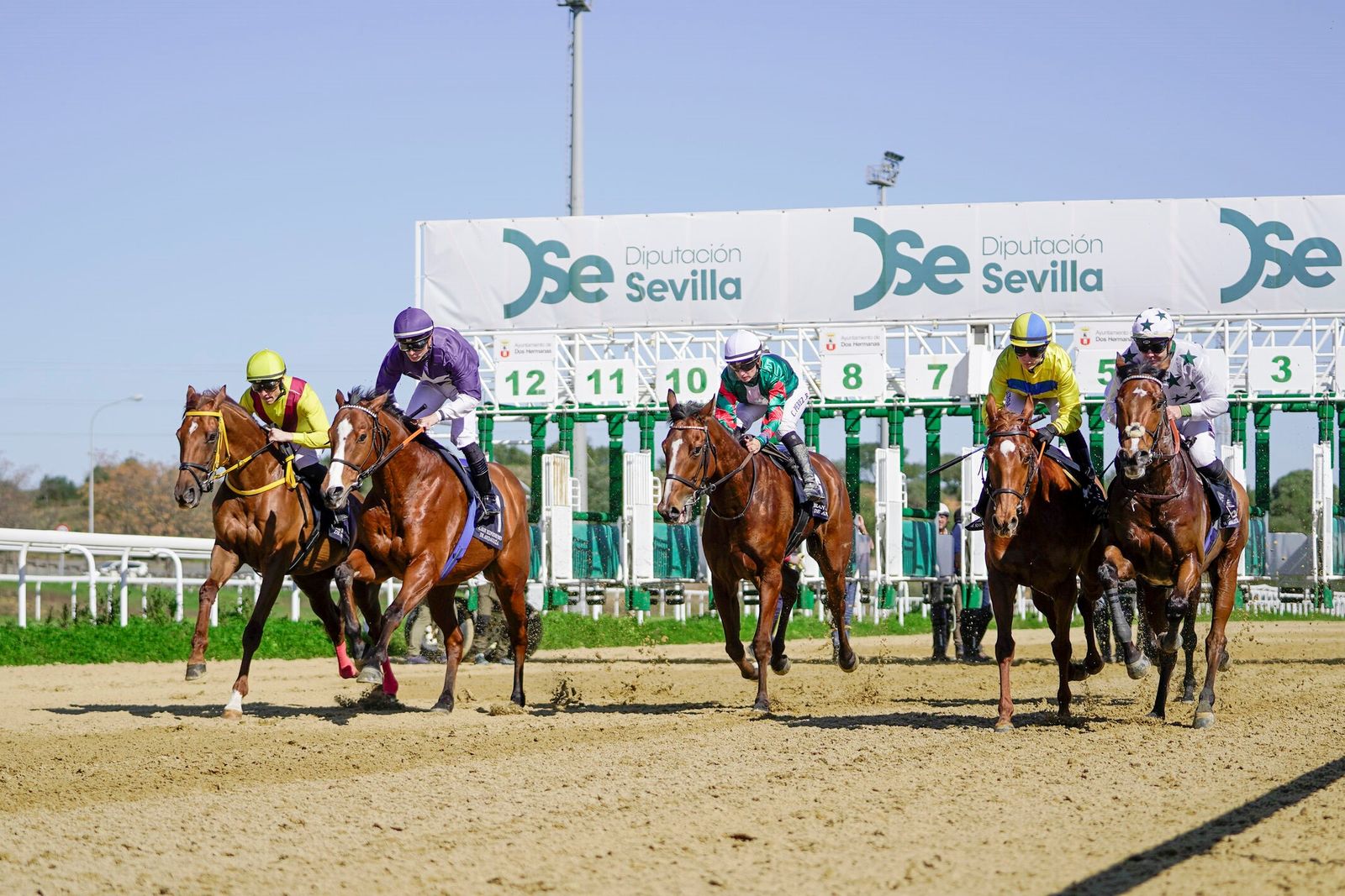 Una imagen de la salida del Premio Diario de Sevilla en el Gran Hipódromo de Dos Hermanas.