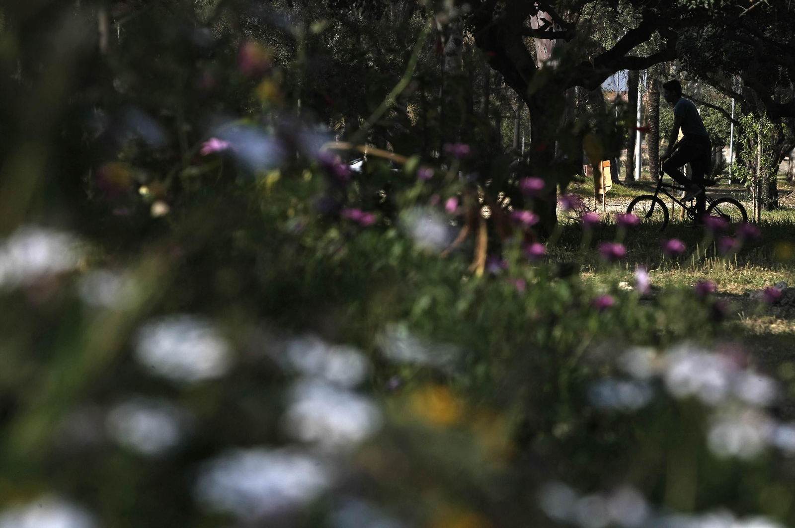 Una persona circula en bicicleta por el parque Princesa Sofía de La Línea.