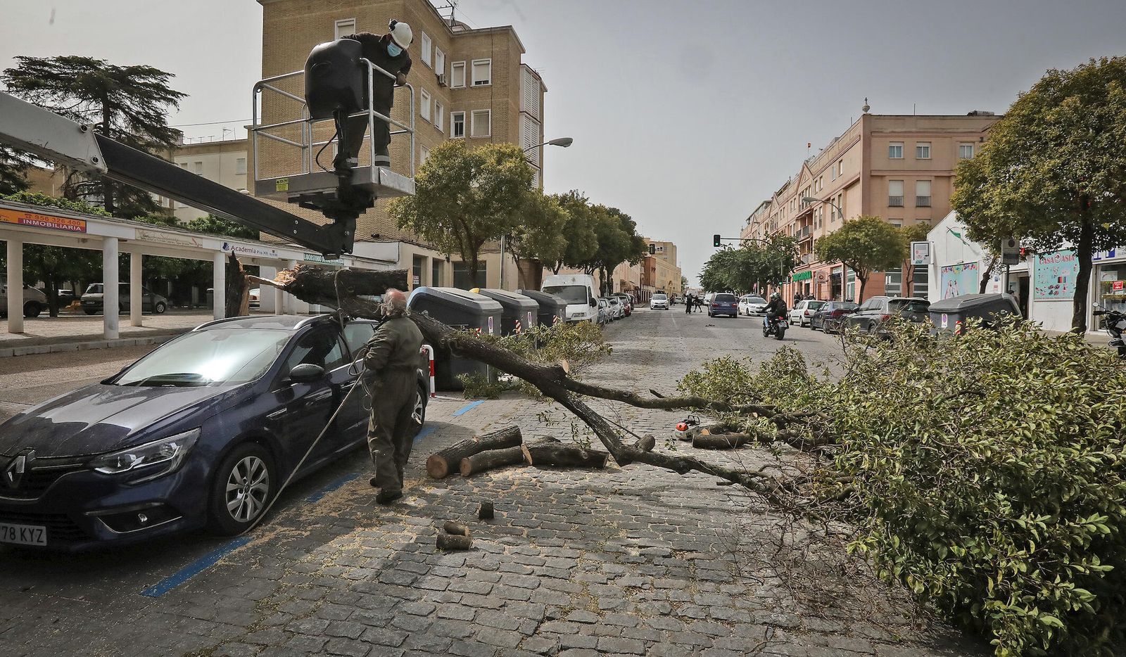 Imágenes de los destrozos ocasionados por el fuerte temporal