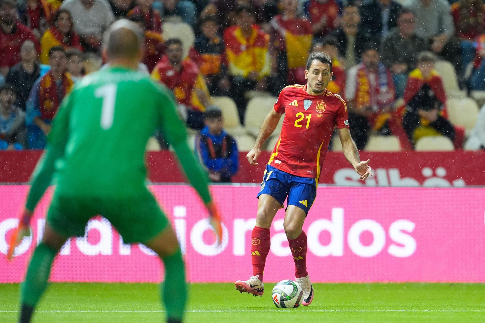 Las fotos del España - Serbia en Córdoba
