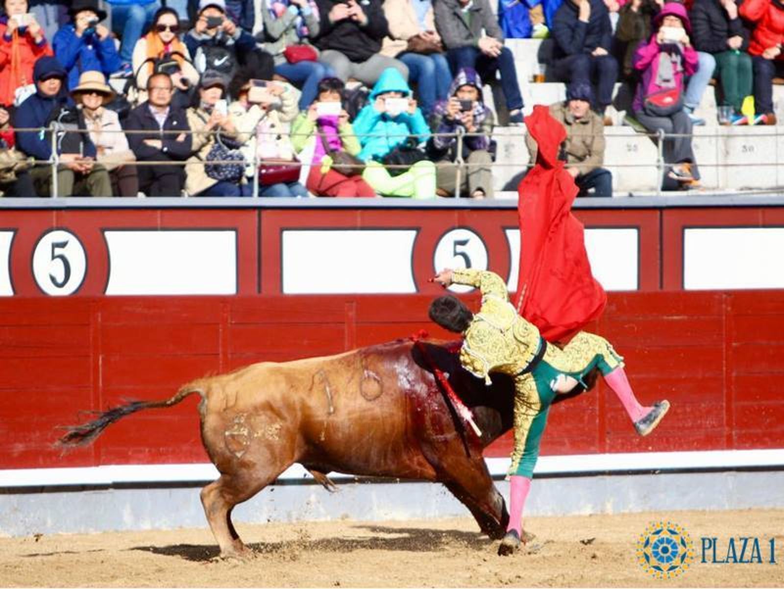 García Navarrete cayó herido al entrar a matar a su segundo novillo, ayer, en Las Ventas.