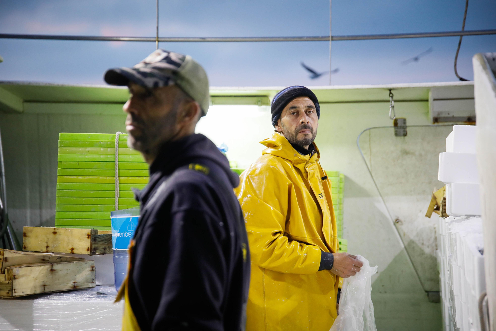 Te contamos en imágenes como ha sido la descarga de las traiñas en la lonja de Almería