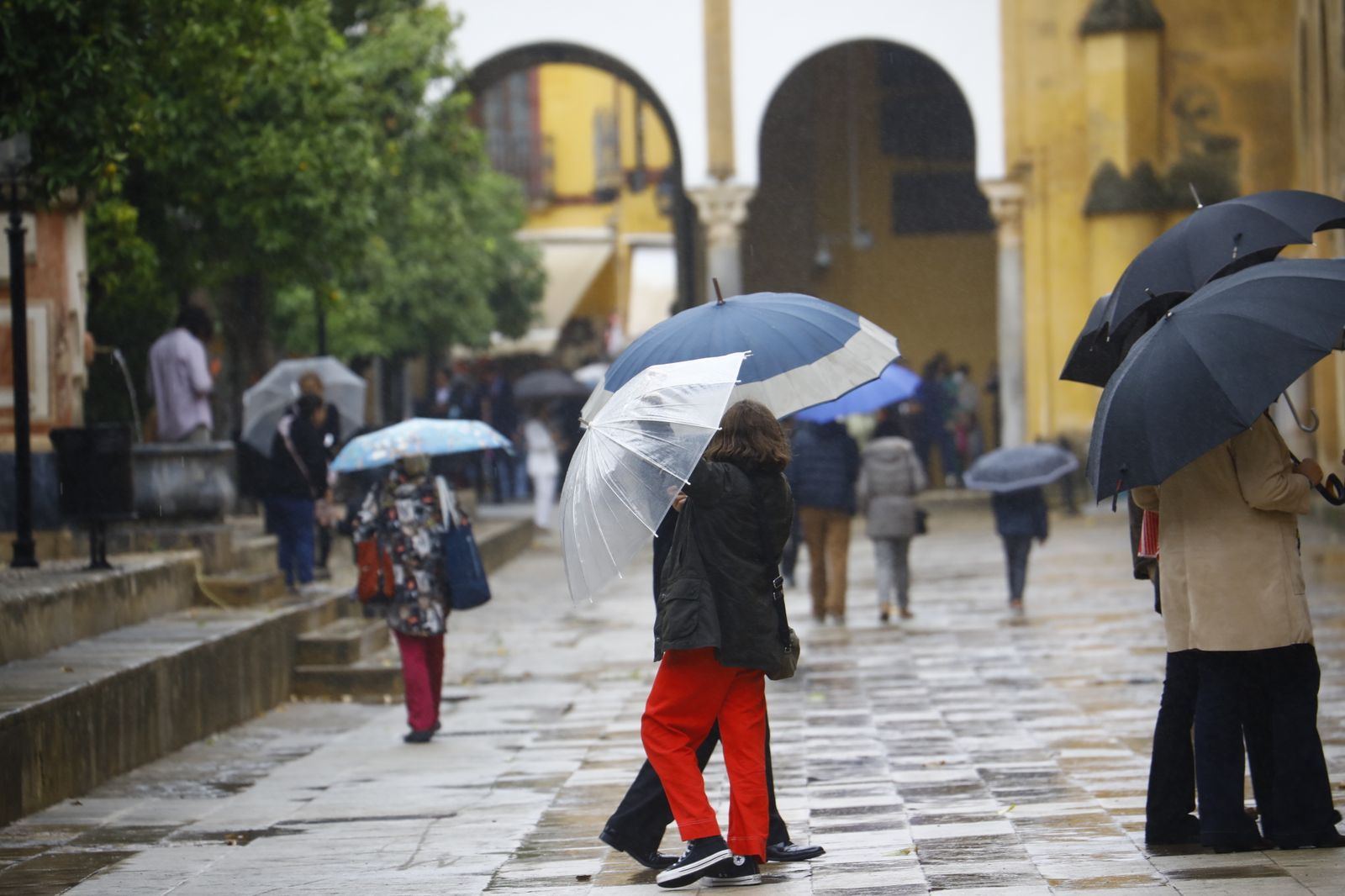 Las fotografías del regreso de la lluvia a Córdoba en pleno puente de Todos los Santos