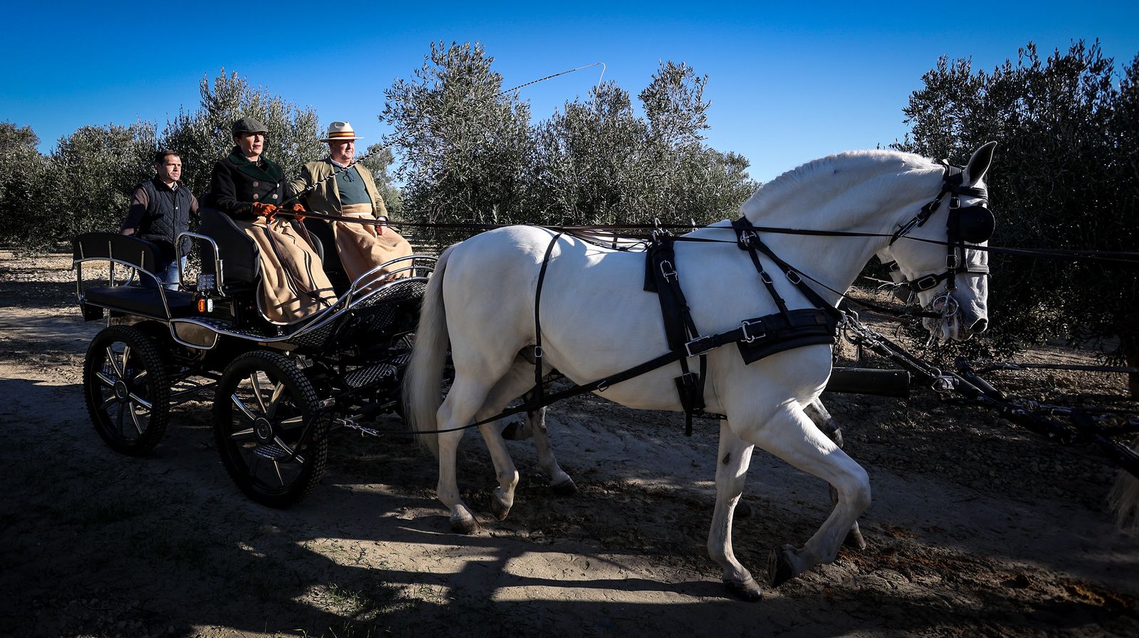 I Ruta de Carruajes Viñas de Jerez