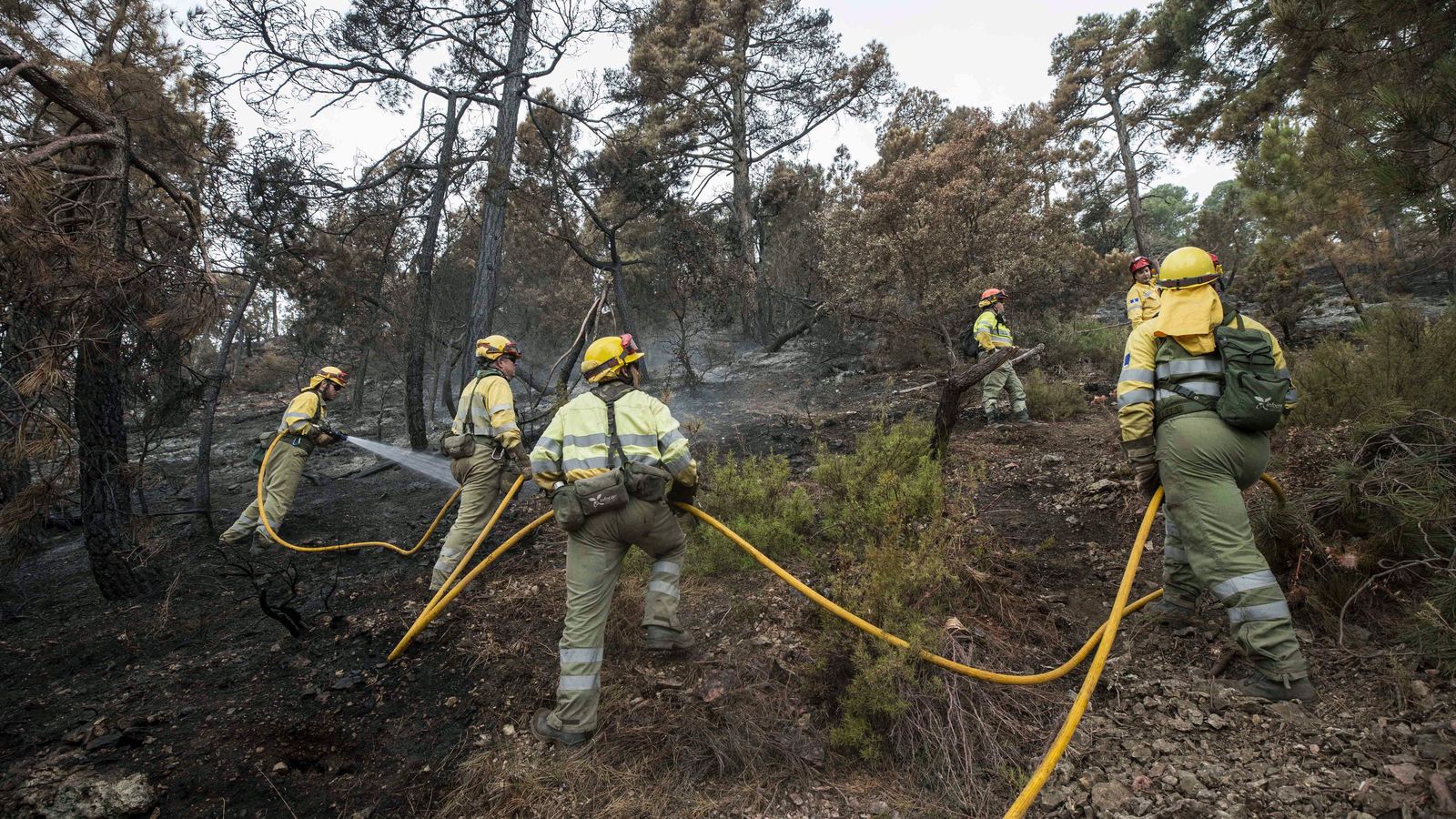 Varios bomberos trabajan en el control del incendio de Yeste, ayer en Albacete.