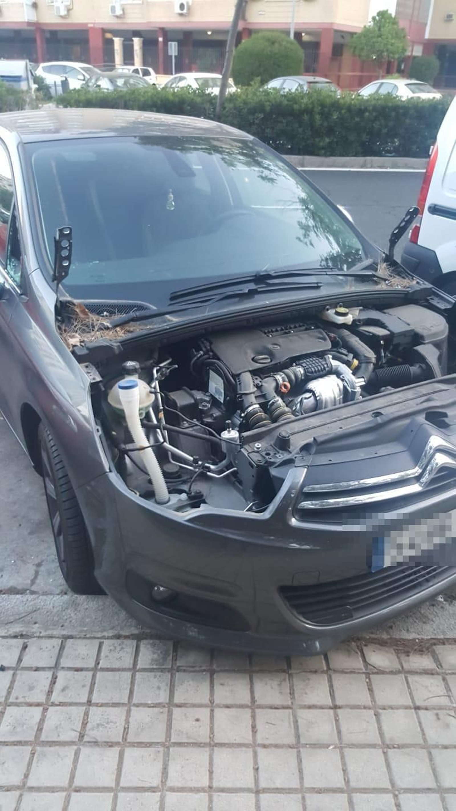 Uno de los vehículos afectados sin el capó tras un robo.