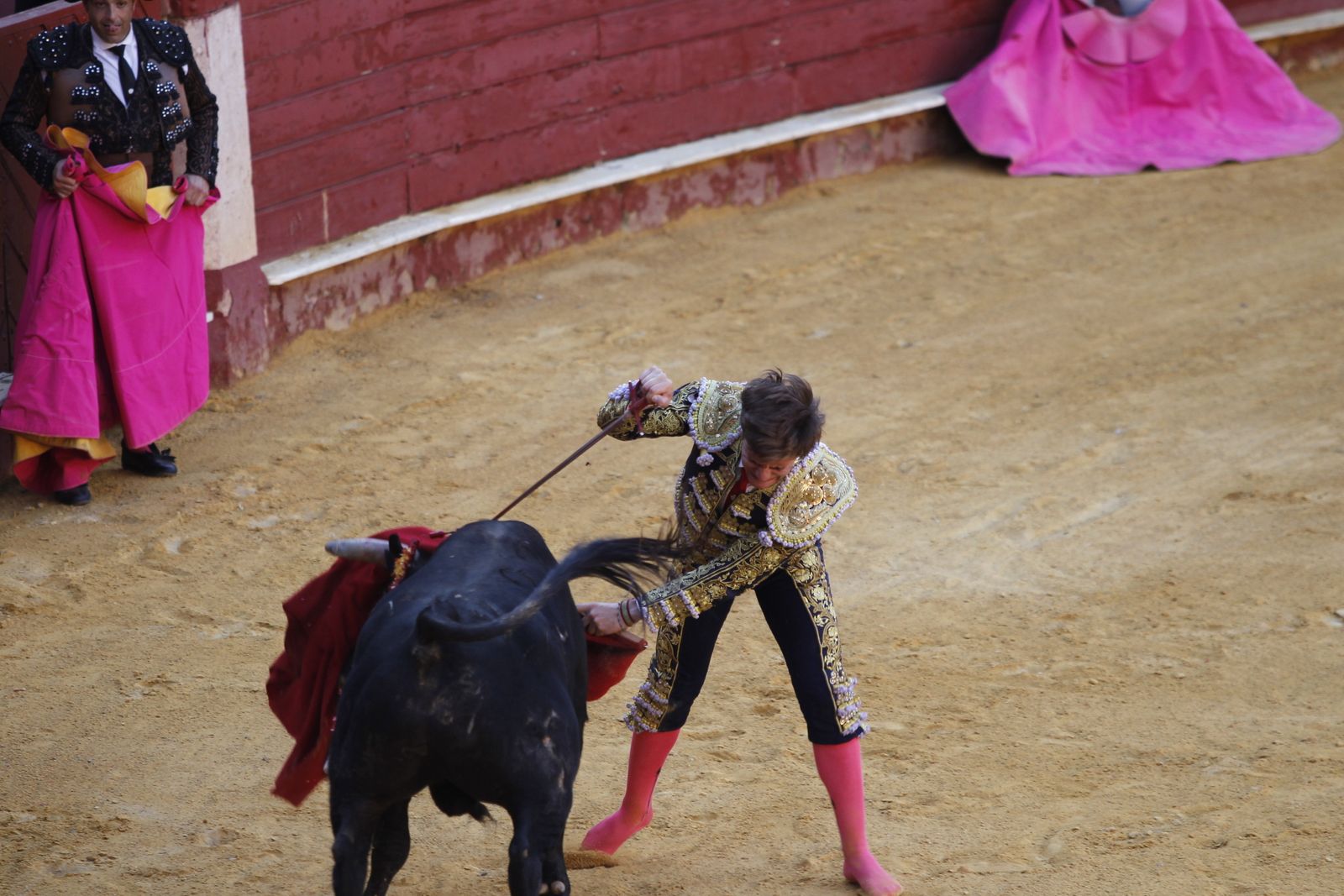 Fotogalería novillada Escuela Taurina de Almería. Feria de Almería 2019