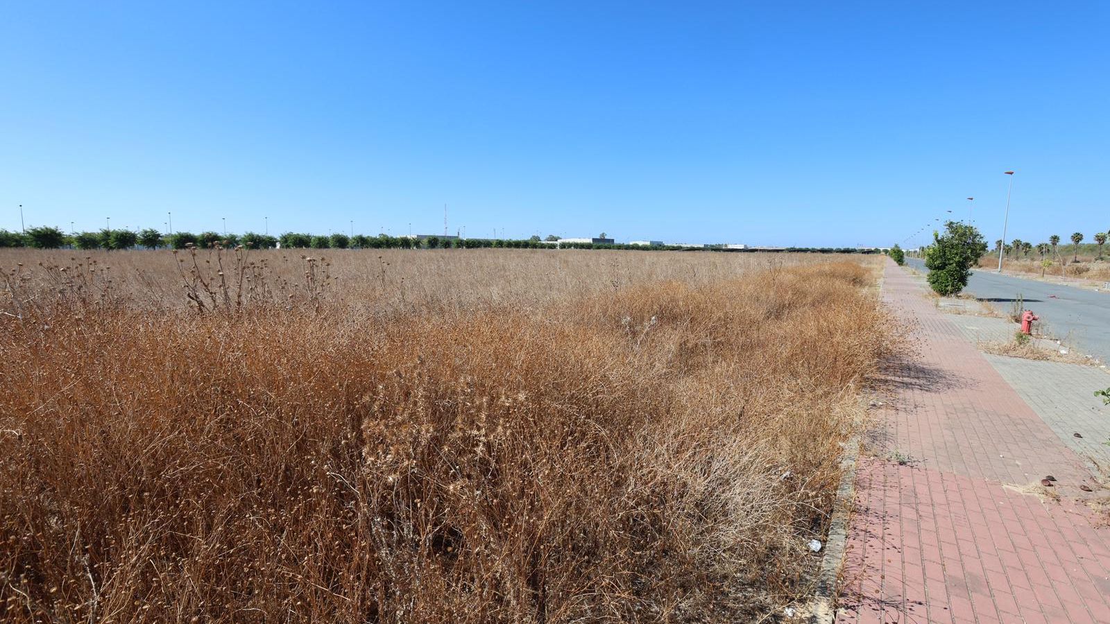 Espacio donde están ubicadas las parcelas a urbanizar en el parque Huelva Empresarial. Espacio donde están ubicadas las parcelas a urbanizar en el parque Huelva Empresarial.