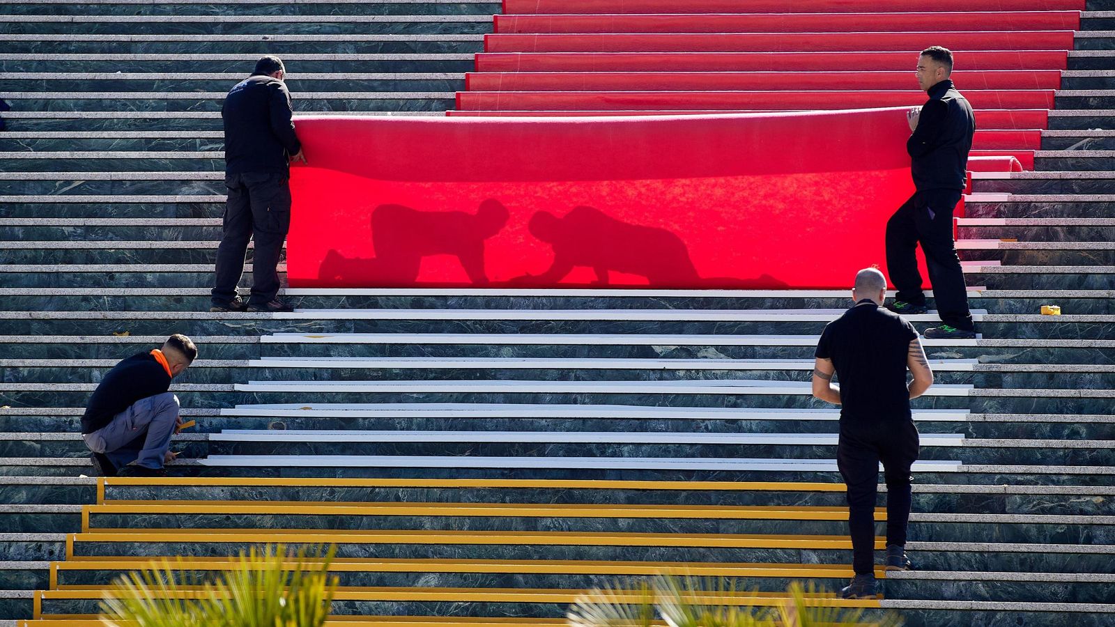 WhatsApp Image 2025-02-07 at 13.54.19.jpeg