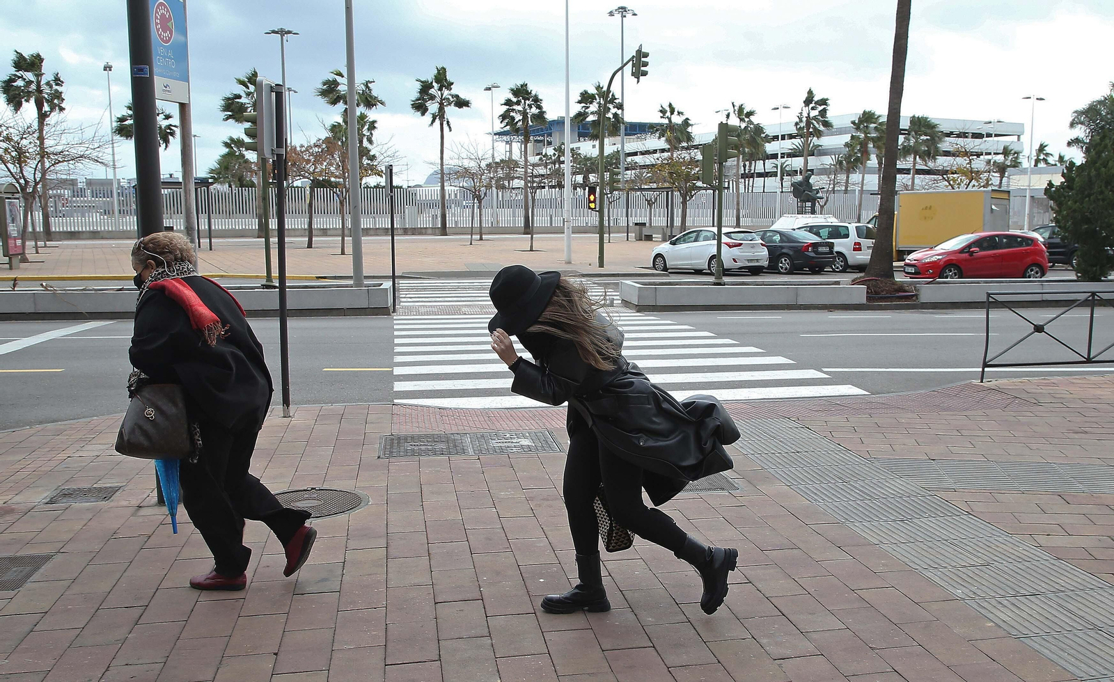 Fotos de los efectos del temporal de viento en Algeciras