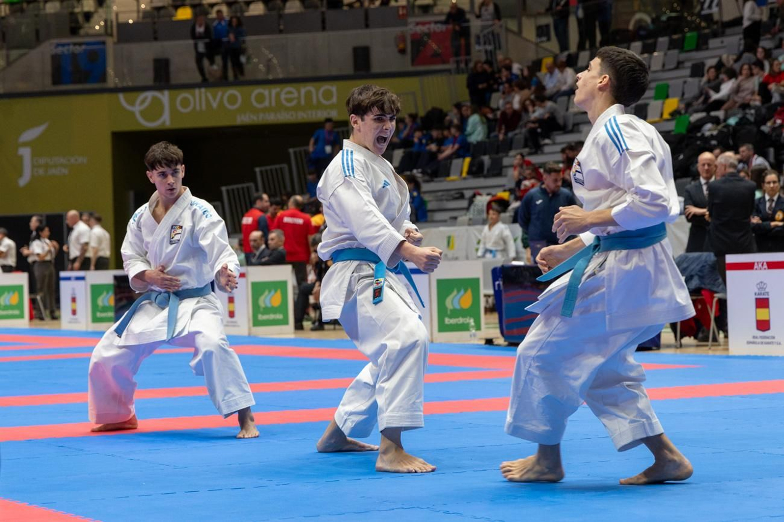 Campeonato de España de Kárate cadete, júnior y sub 21 brilla en Jaén