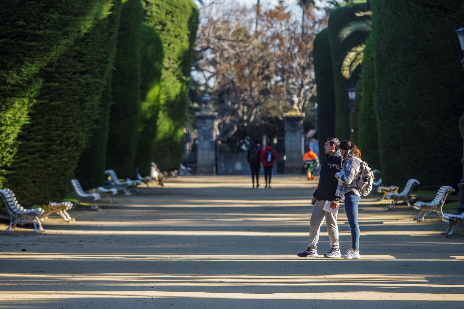 Imágenes del mal estado del Parque Genovés de Cádiz
