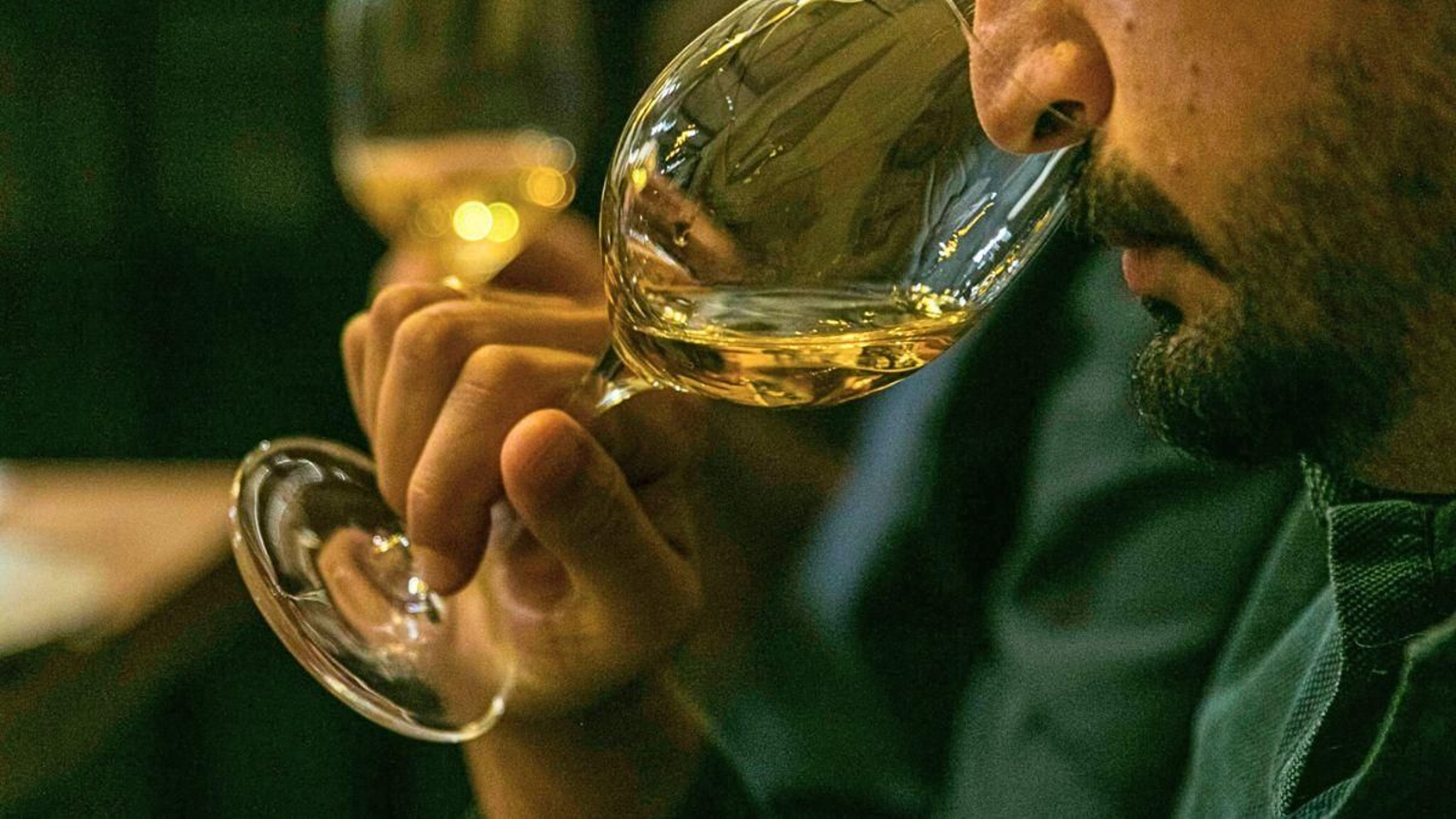 Tres variedades de uva serán protagonistas: la syrah, la Jaén pinta y viognier.