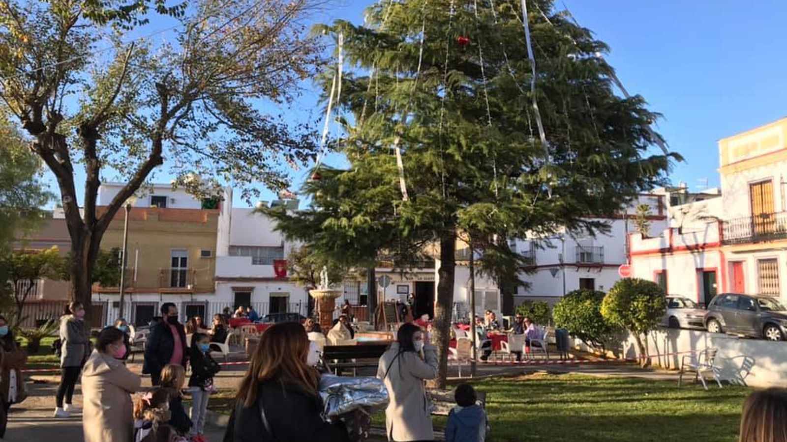 El árbol de la Navidad.