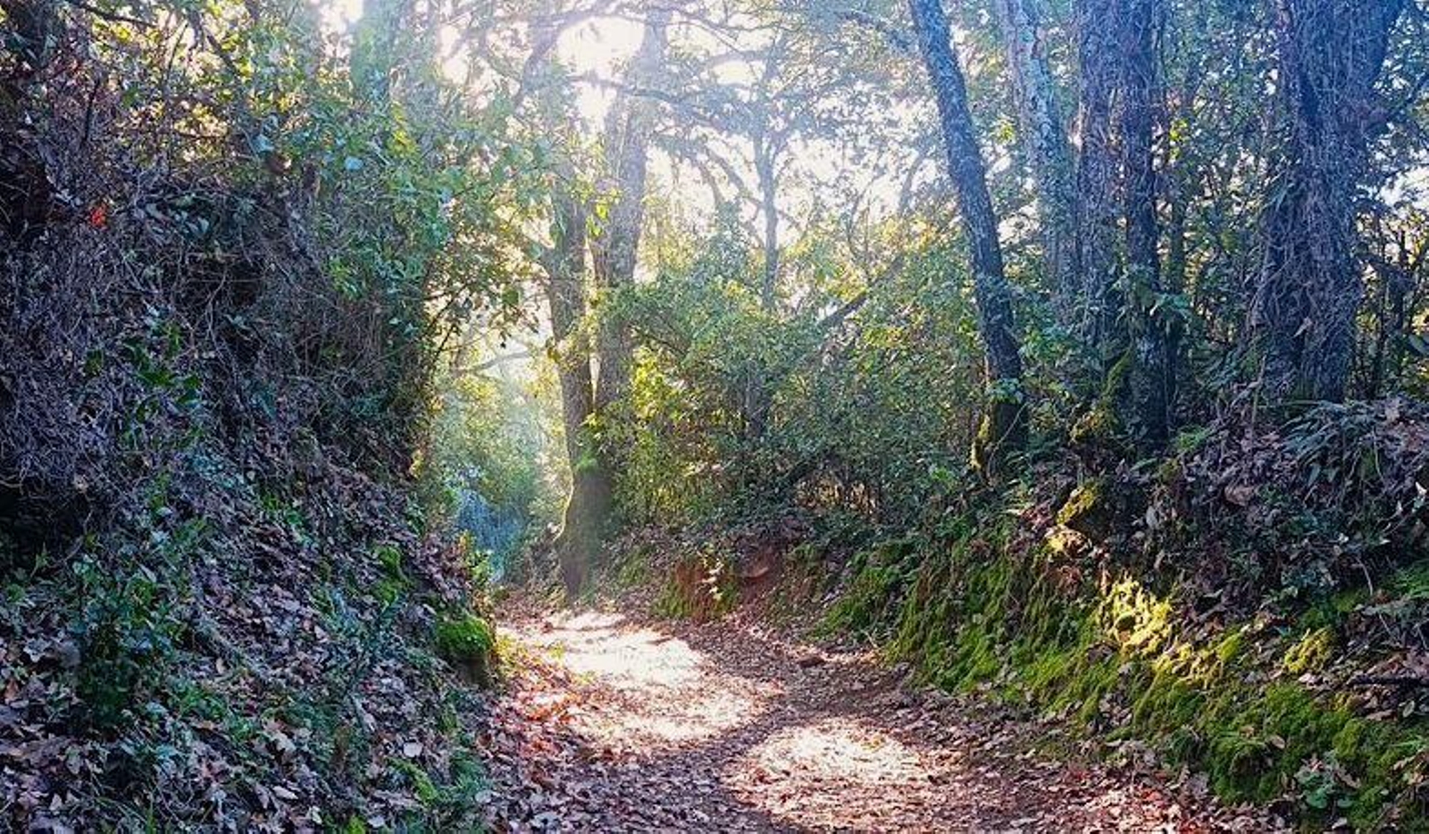 Descubre este sendero de leyenda en Huelva que recorre el "Valle de la Novia"